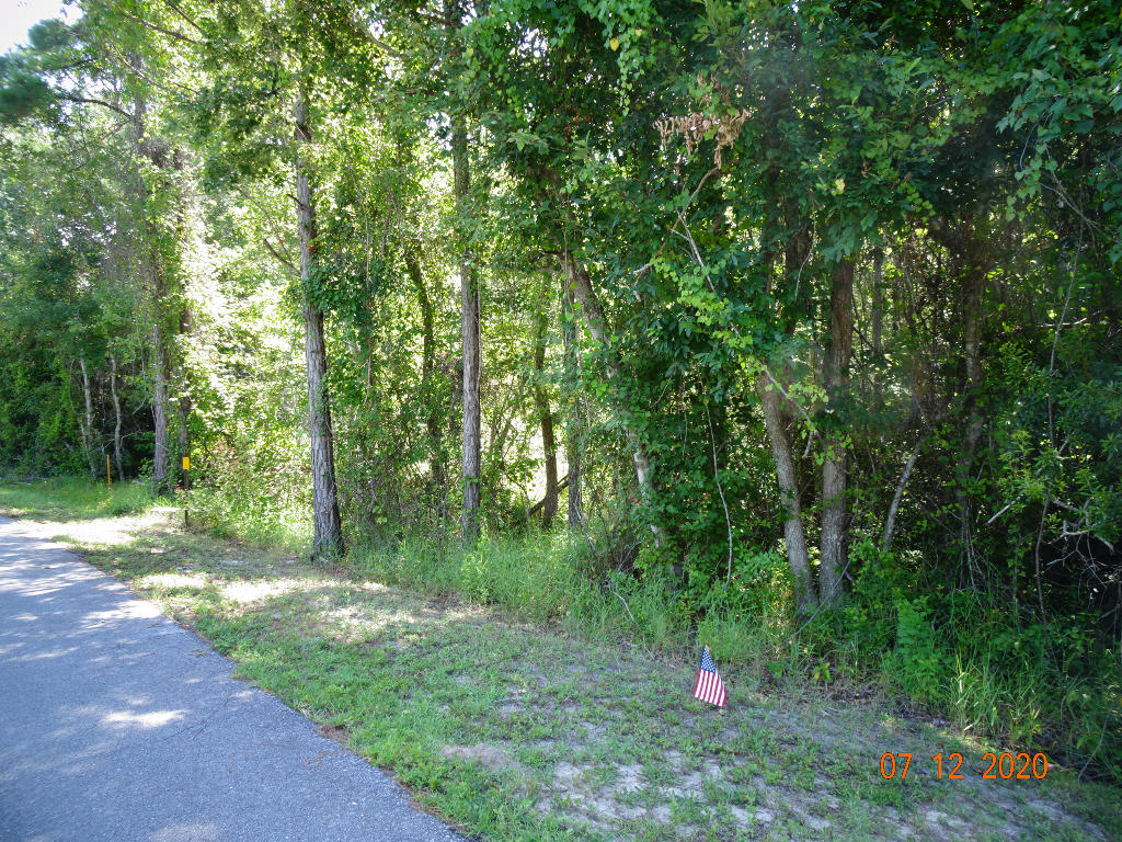 Beautiful wooded acre lot located in a secluded, gated subdivision; walking distance from Choctawhatchee Bay and approximately 4 miles from Gulf of Mexico and sugar sand beaches. Sold 'as is'. Located in HOA with 30 other single-family homesites. Minimal restrictive covenants. Build your dream home. The neighborhood is connected to bike and walking path; walking distance to South Walton High School and Boys and Girls Club of America. A boat ramp for the bay is 5 minutes away. Quick and easy access to parks, shopping, medical facilities etc. Annual dues are only $125.00.