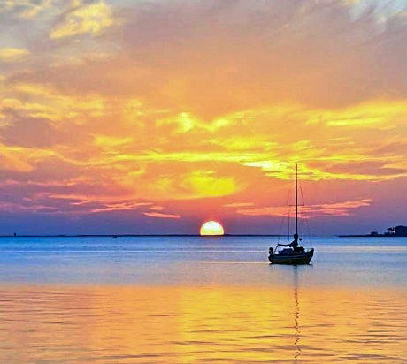 SEA PALM CONDO - Residential