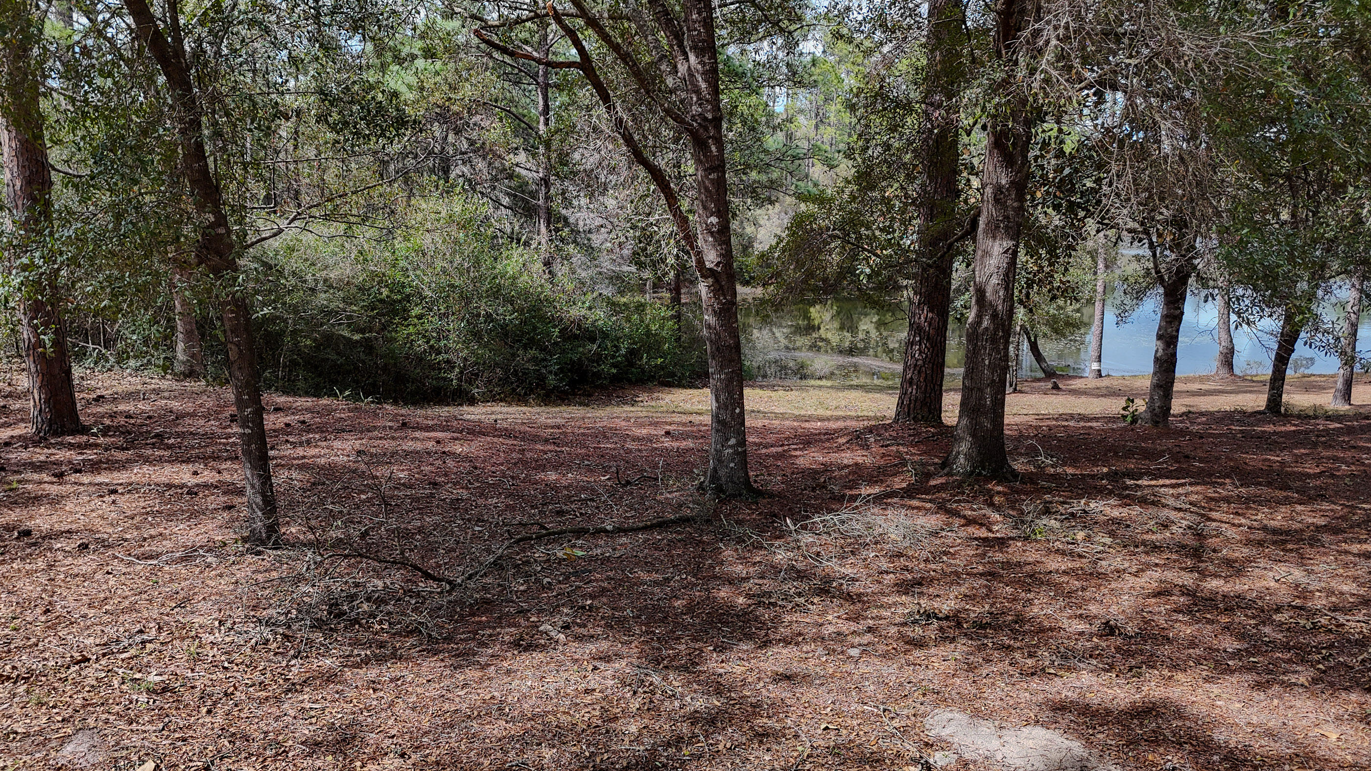 MAGNOLIA LAKE ESTATES PH 1 - Land