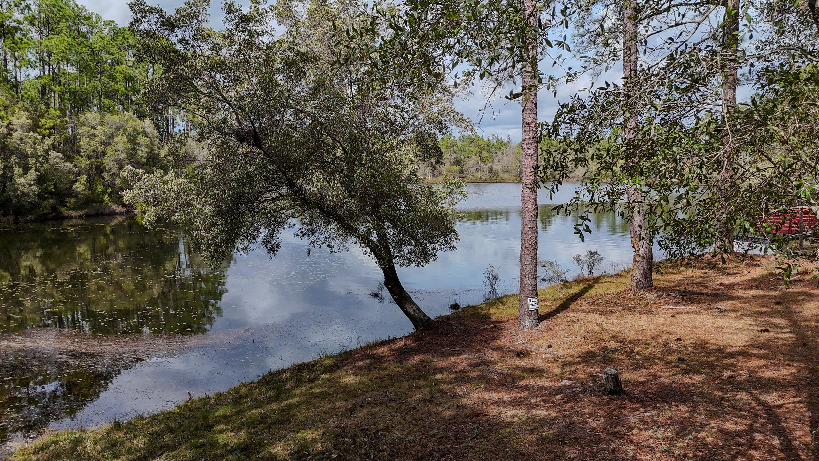 MAGNOLIA LAKE ESTATES PH 1 - Land