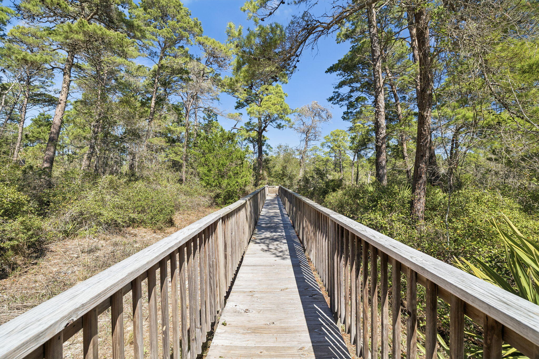 THE PRESERVE AT INLET BEACH - Residential