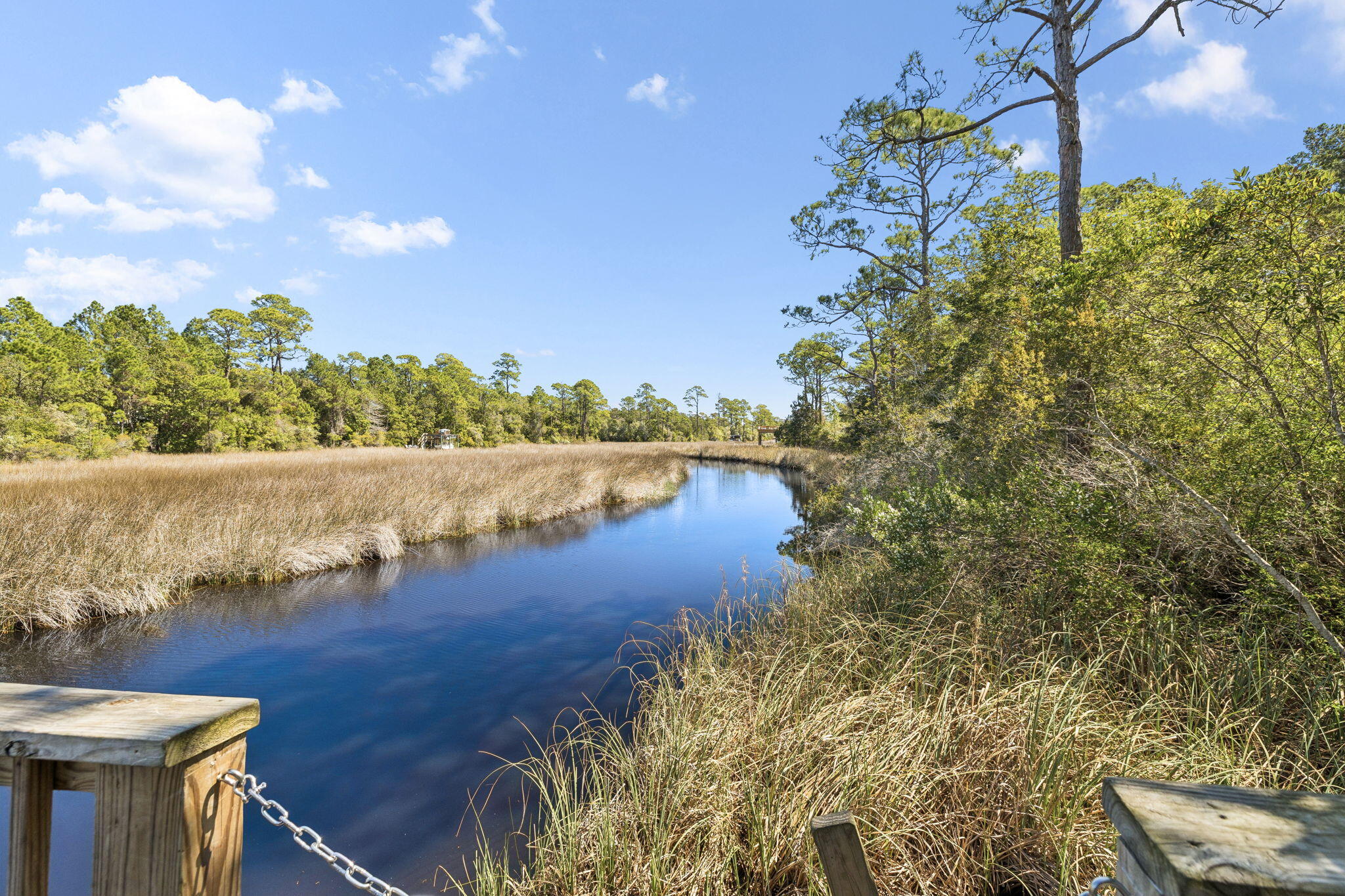 THE PRESERVE AT INLET BEACH - Residential