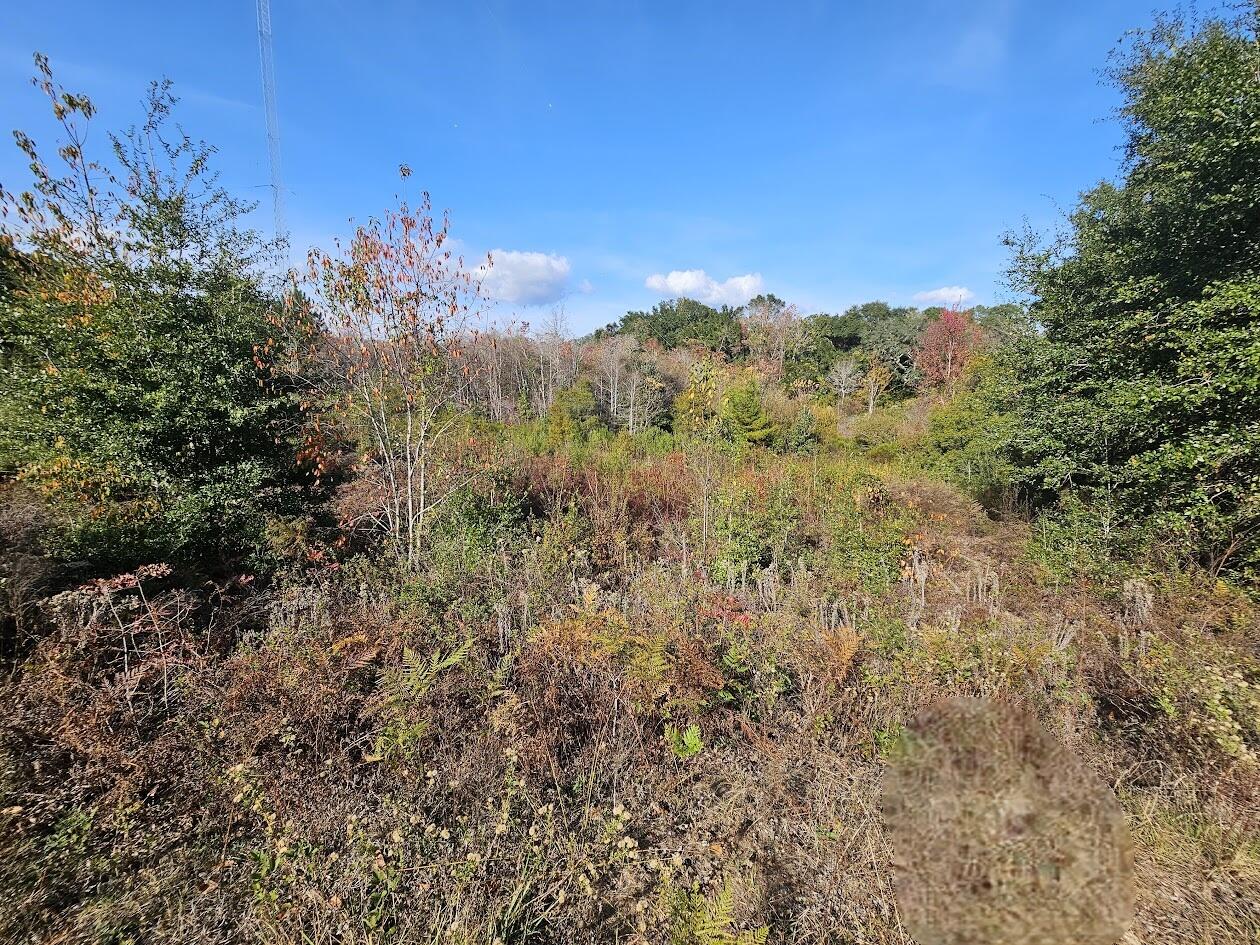 VALPARAISO PINECREST 5 - Land