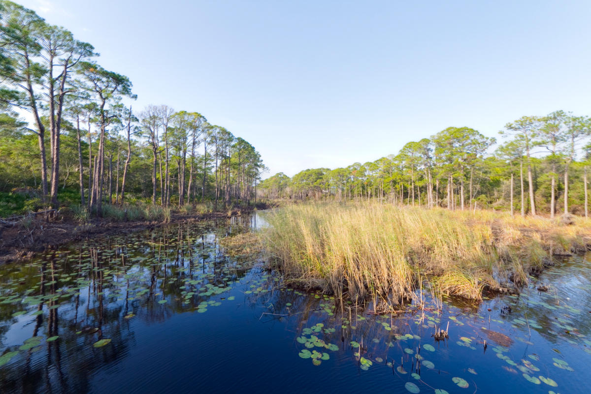 REDFISH VILLAGE - Residential