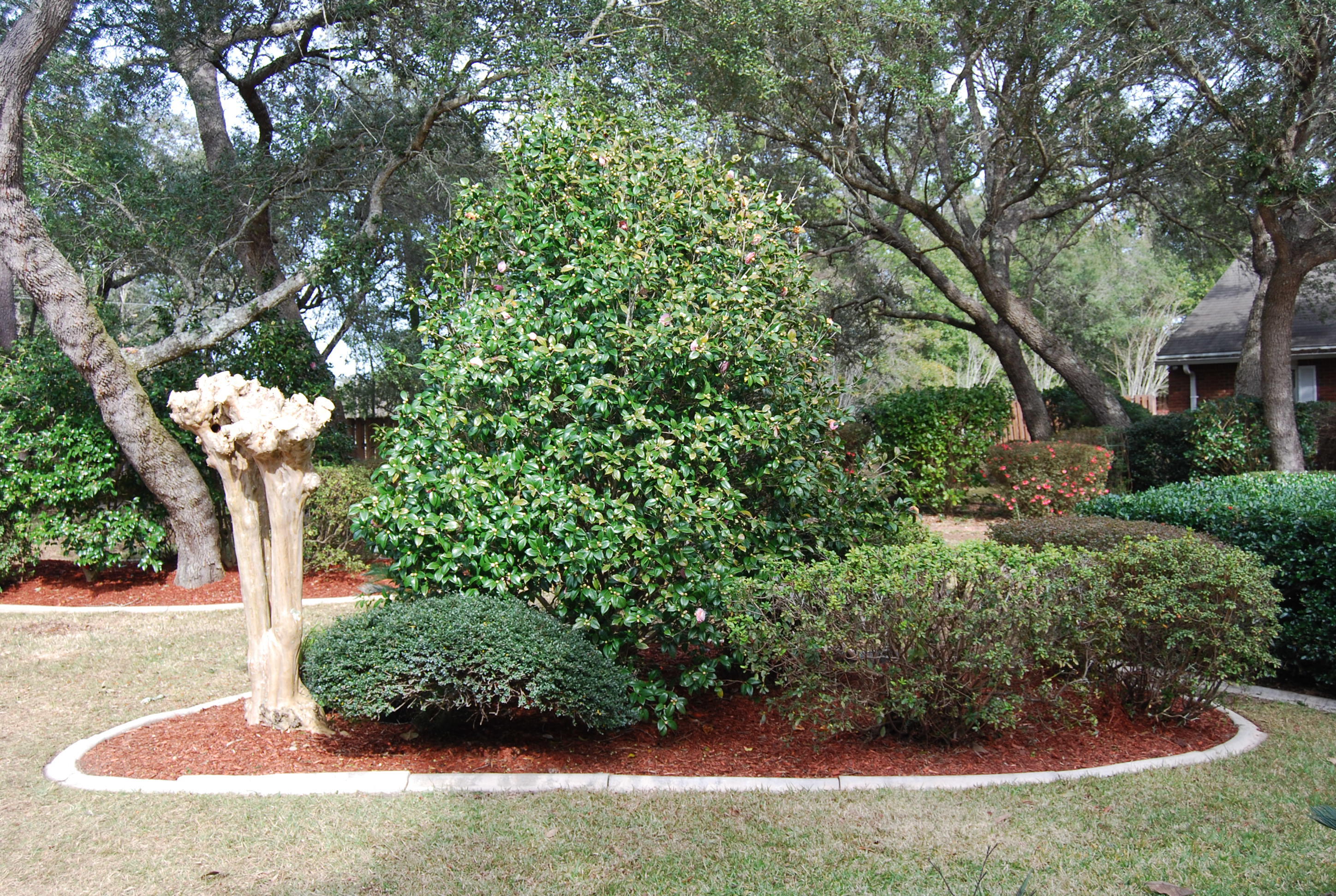 PARKWOOD LN BWB - Residential