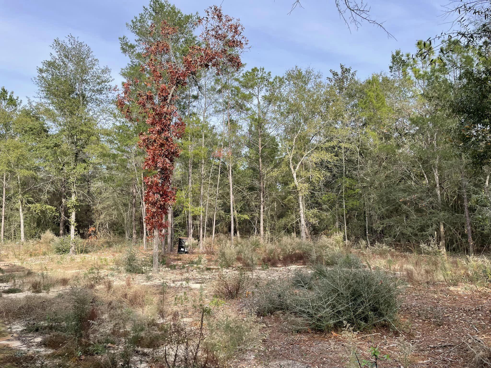 OAKWOOD HILLS UNIT III - Residential