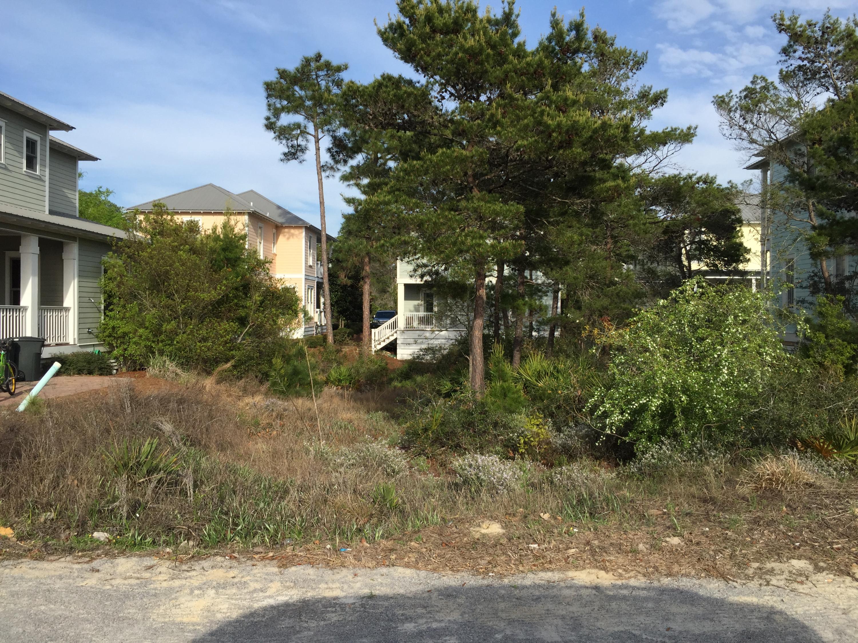 THE PRESERVE AT GRAYTON BEACH - Land