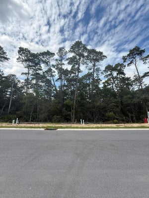 241 FOXGLOVE RUN, NICEVILLE, FL 32578 - Image cdb590247aac1bace6a8d9e2ac2e0e28/854479767