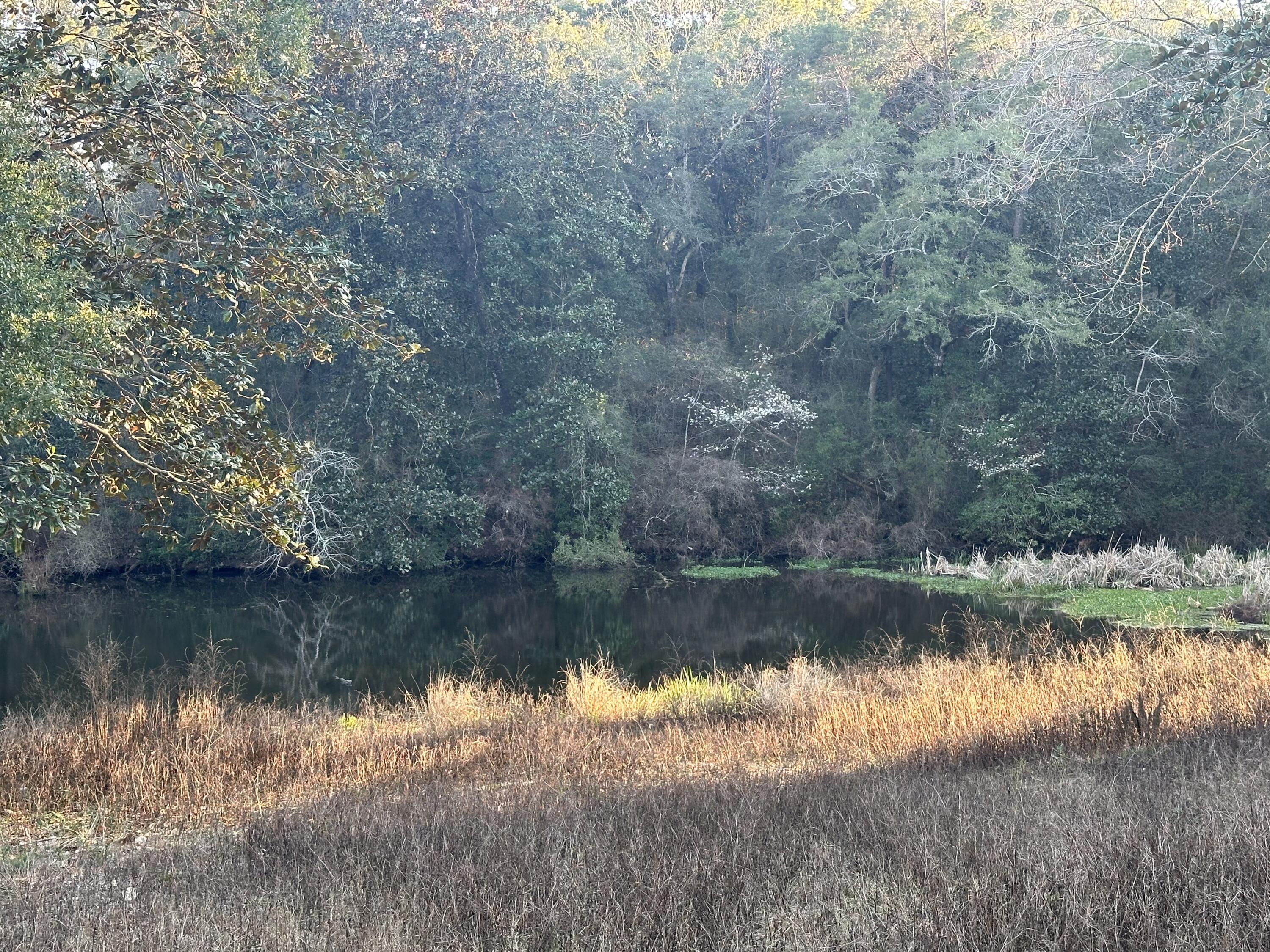 WATERFRONT AND WATERVIEW!! Boaters, fishers, outdoors enthusiasts...this one is for you! You have to see this lot to appreciate it! Located directly across the street from the boat ramp at Edrehi and 25th street, sitting on the cutest little bass pond in Niceville, this lot is really so special! Call today to secure this one of a kind location to build your Dream Home! One of two lots available.