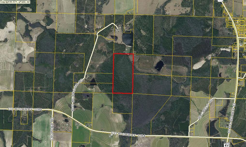 Entered for comp purposes only. 90 % swamp. no access. bought by adjoining land owner