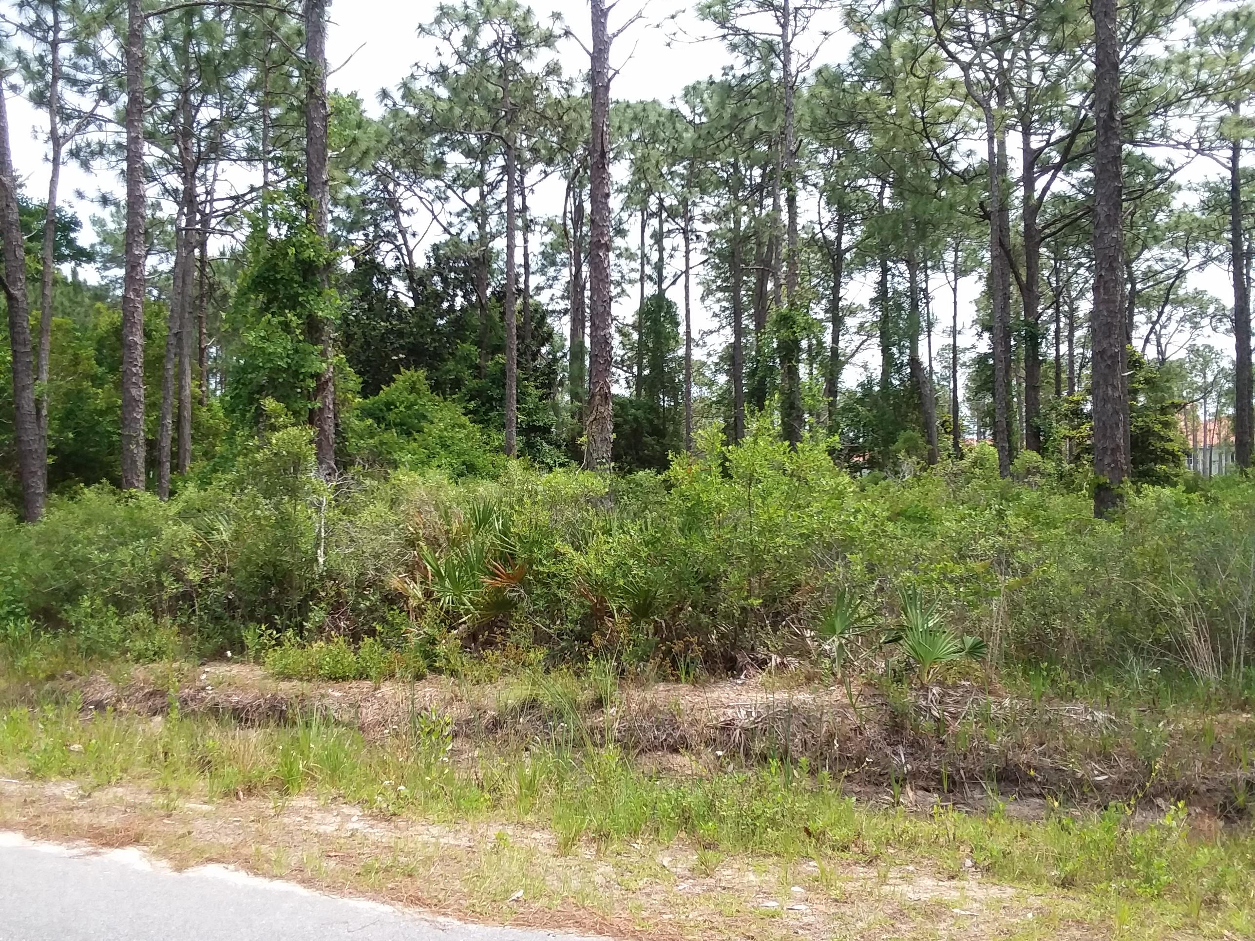 Lightly wooded building lot on paved road with Public Water and Sewer available. This .30 of an acre is very close to Sacred Heart Hospital, shopping, dining out and only a few minutes away from the beautiful beaches on the Emerald Coast.