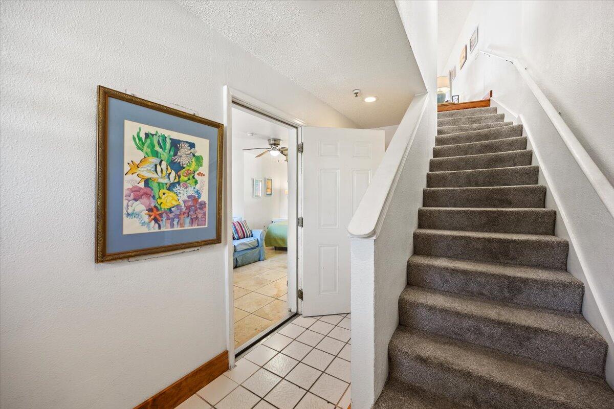 ISLAND MIST - Residential