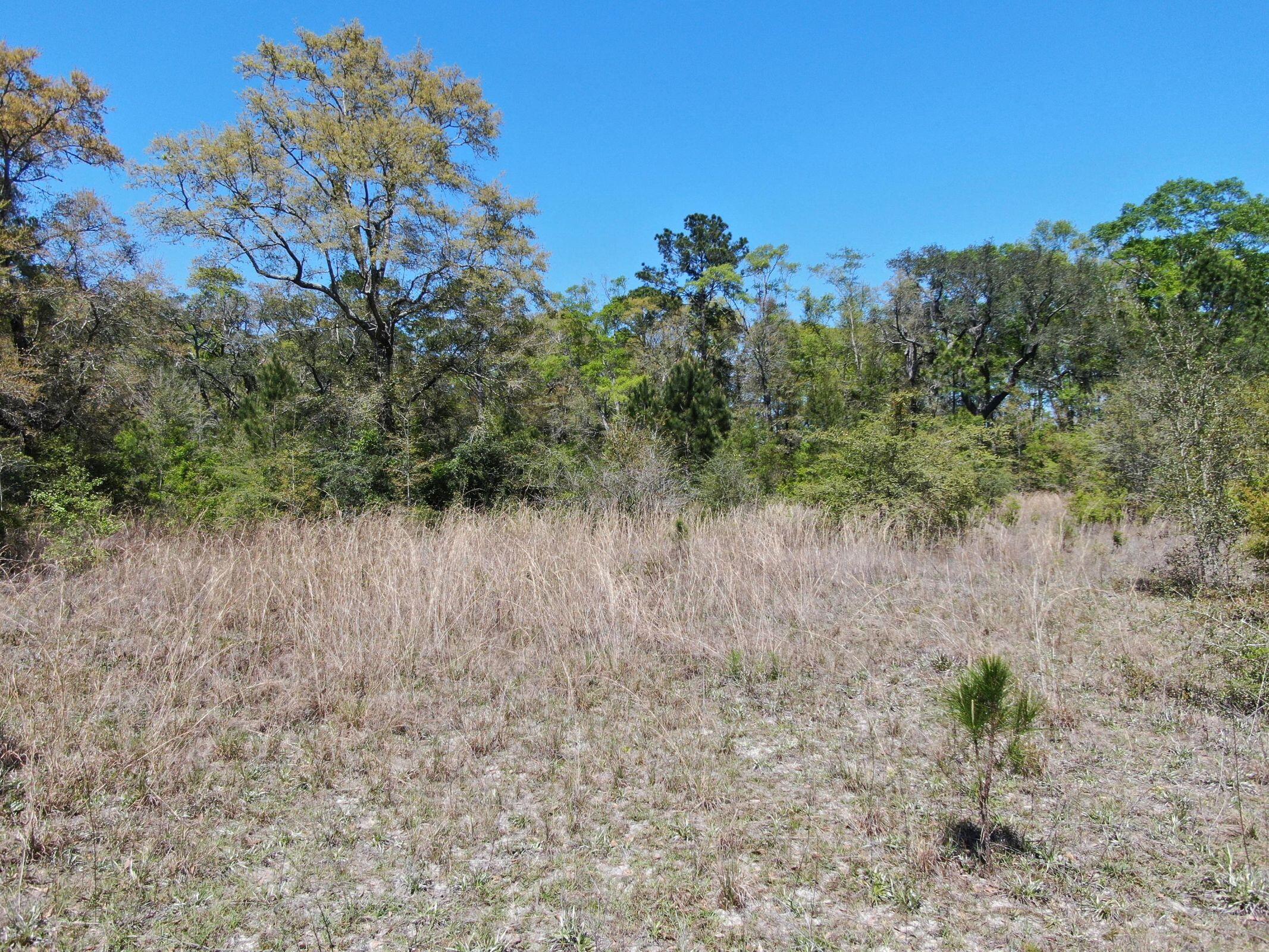 CREEKSIDE S/D - Land