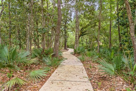 A home in Santa Rosa Beach