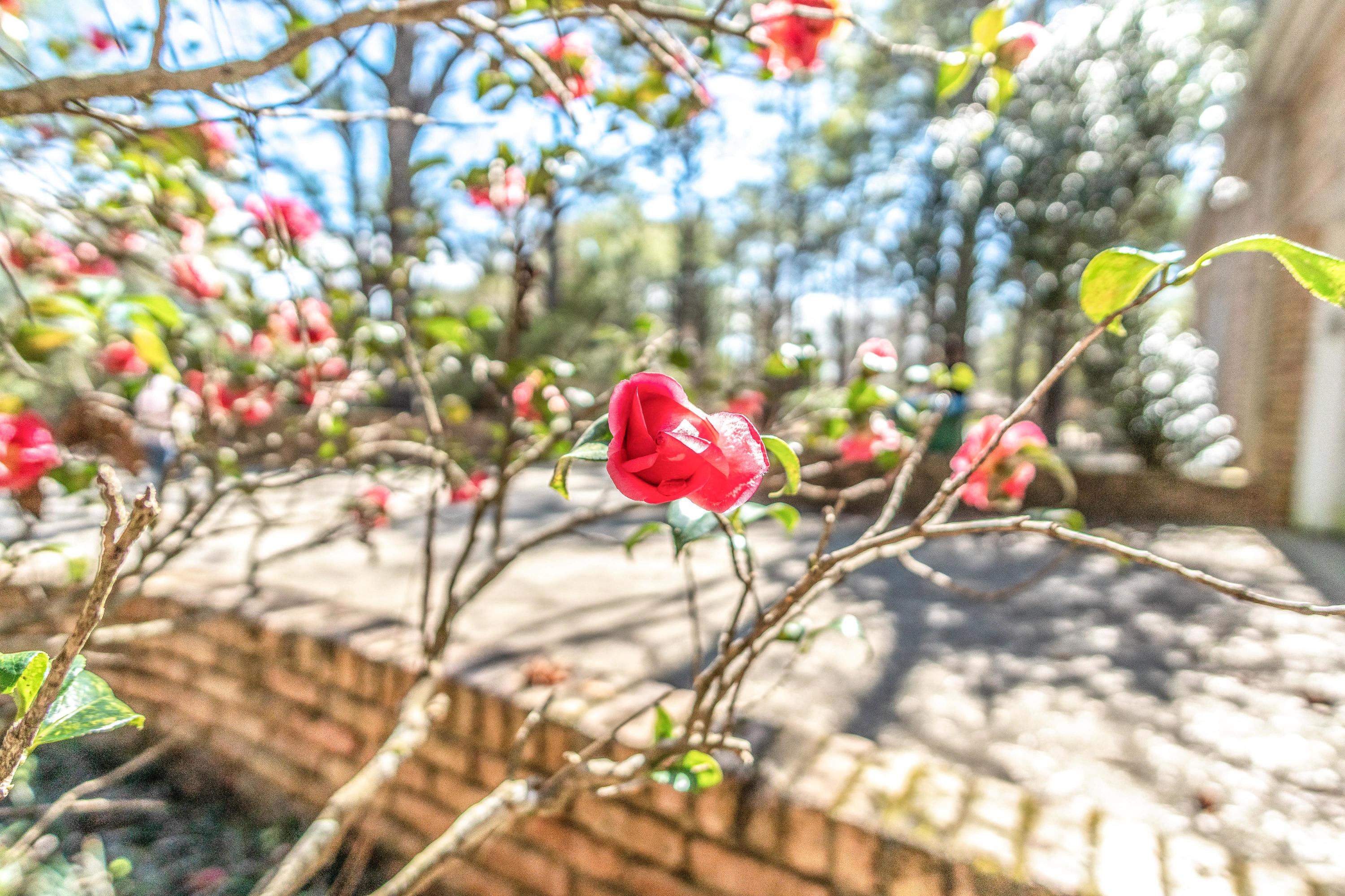 ADAMS POWELL - Residential