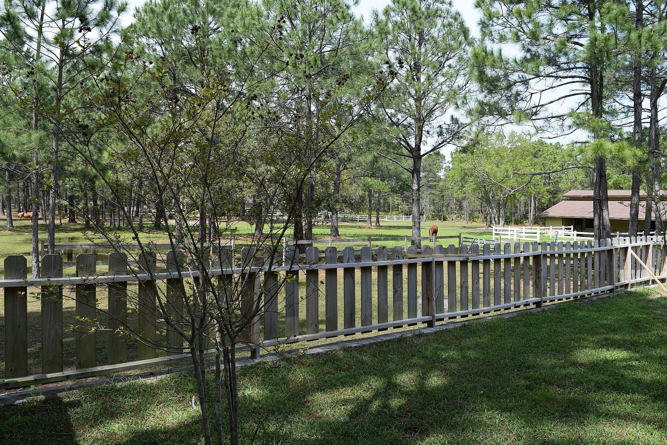 WATER OAKS - Residential