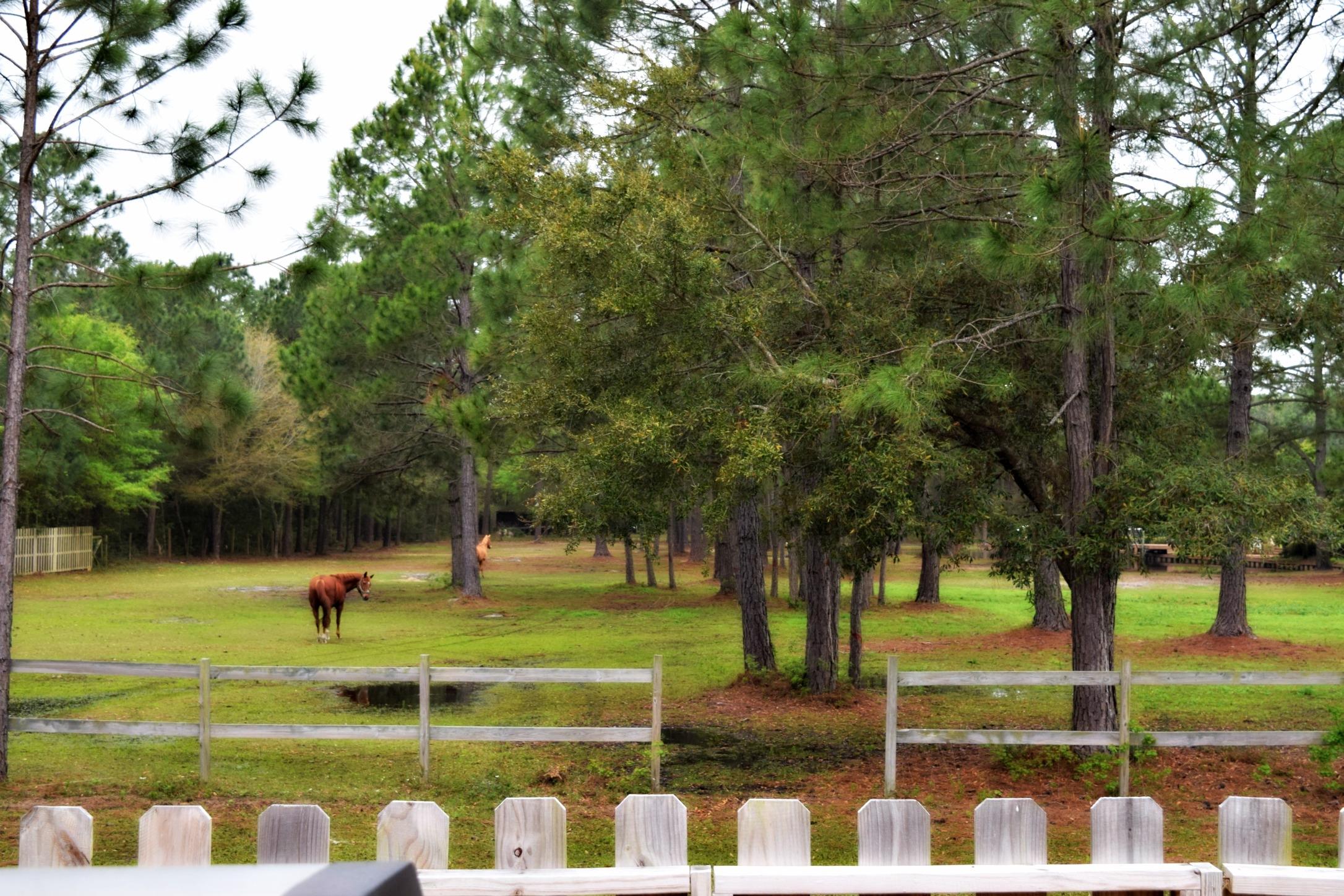 WATER OAKS - Residential