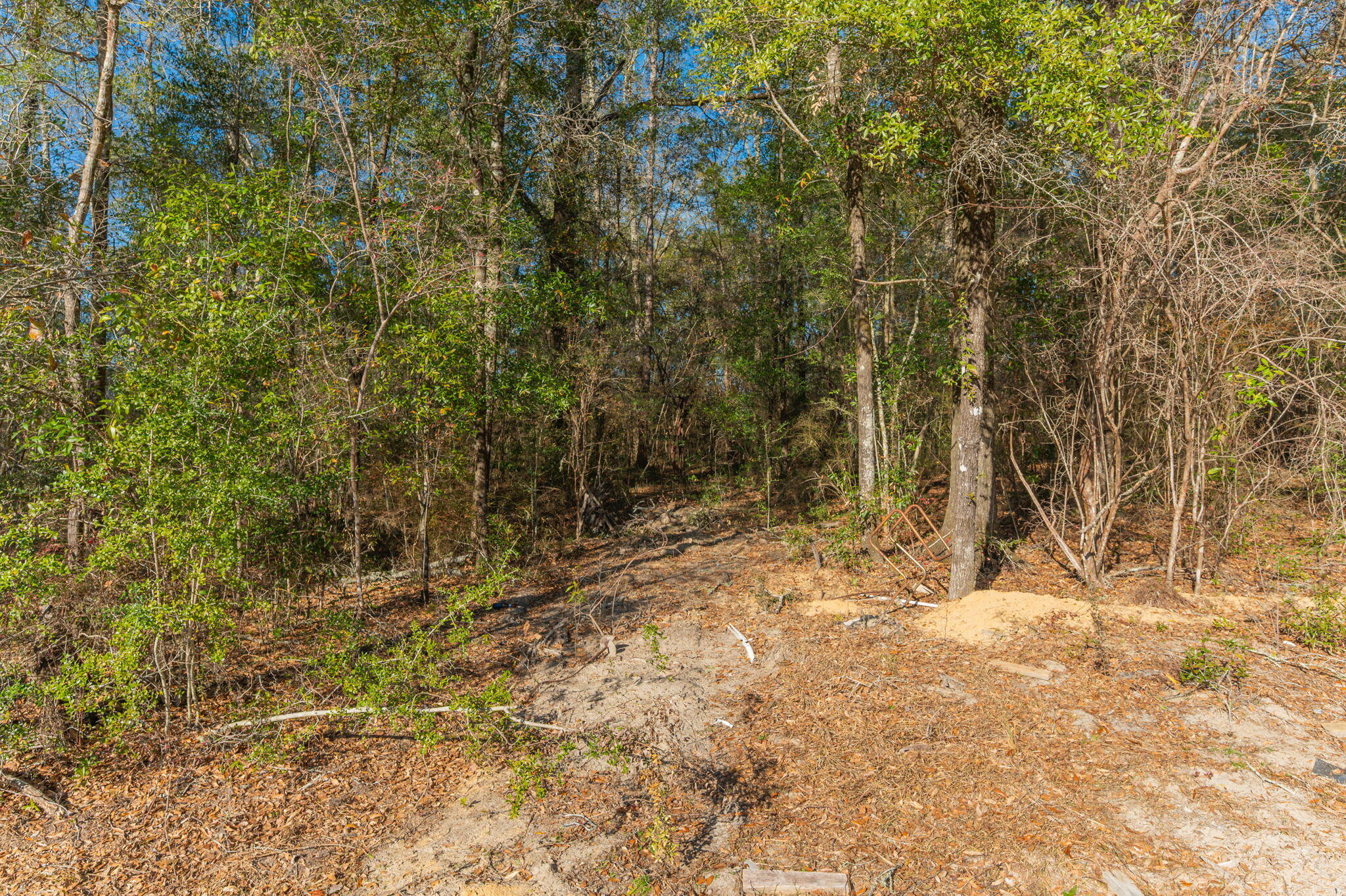 METES & BOUNDS - Land