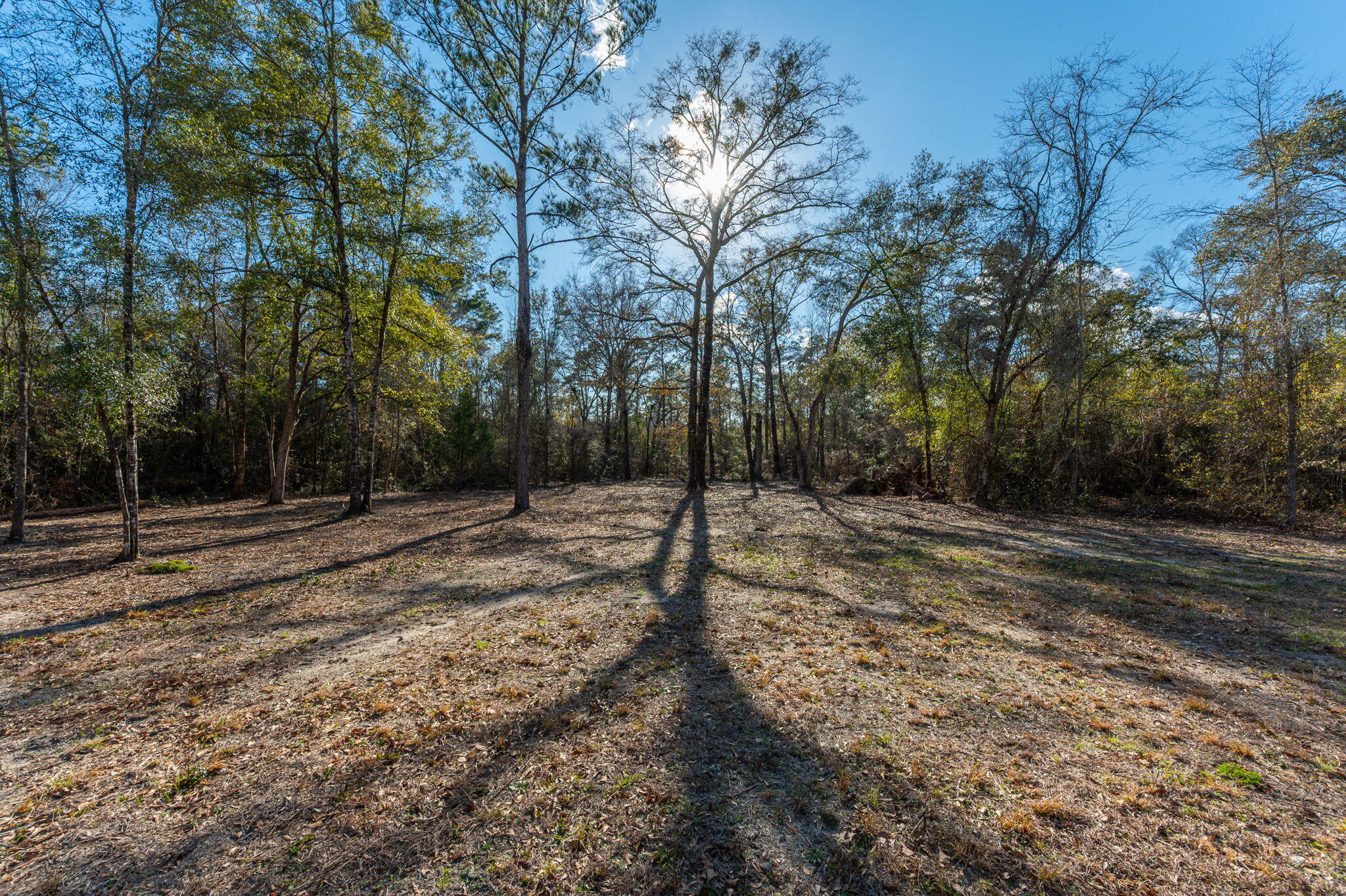 METES & BOUNDS - Land