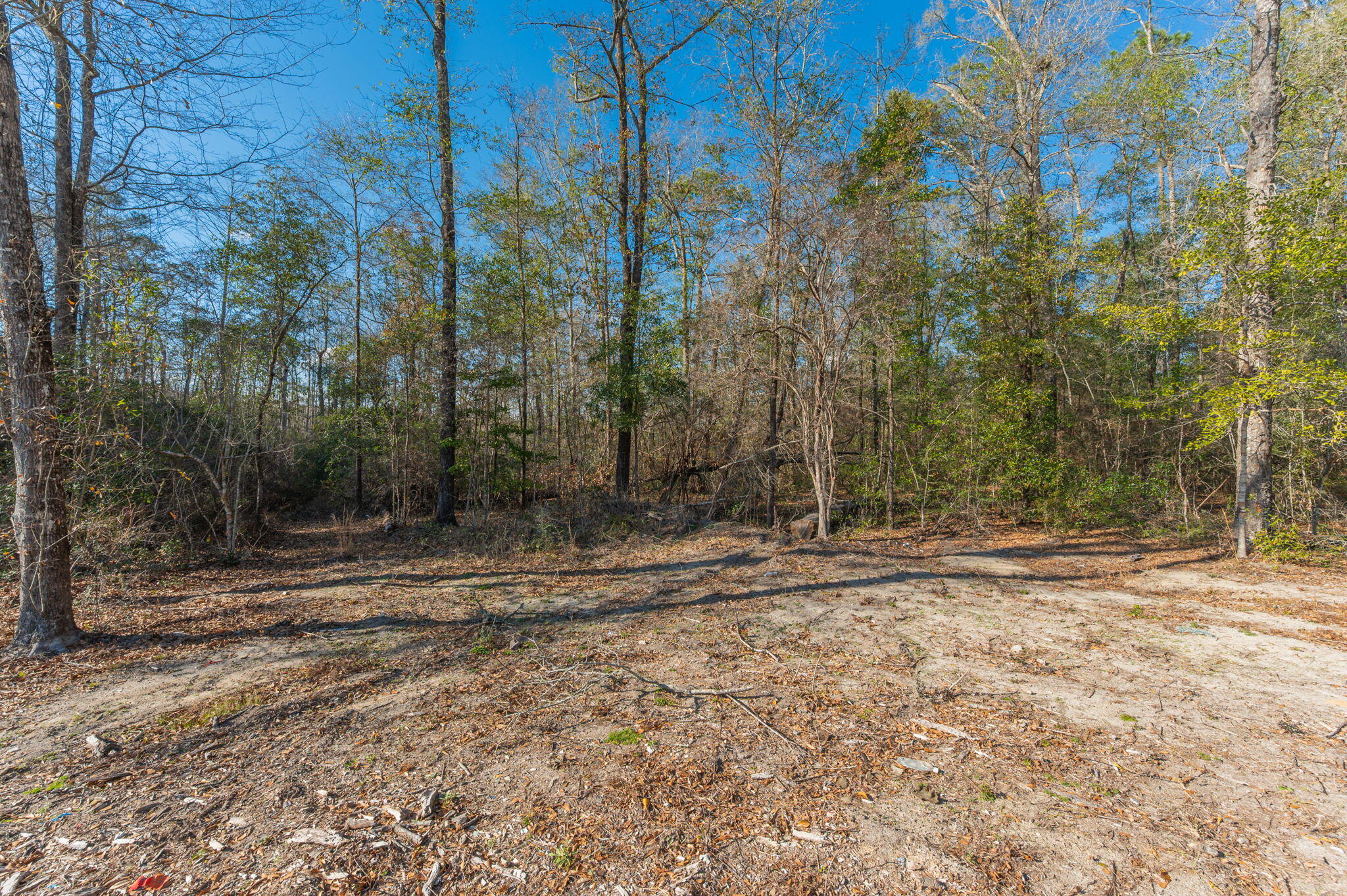 METES & BOUNDS - Land