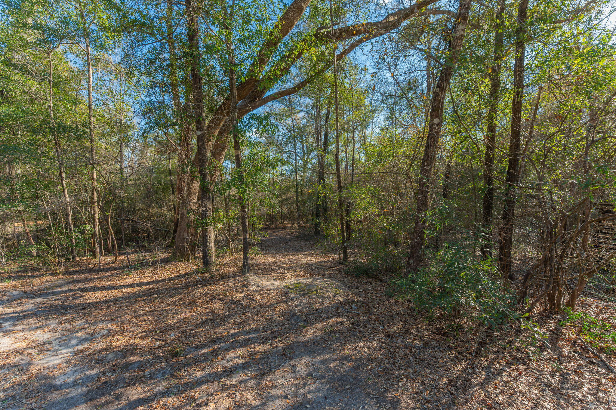 METES & BOUNDS - Land