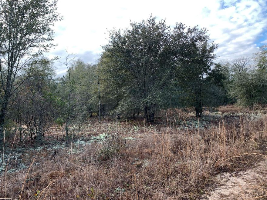 Don't let this one get away!  This 2 acres is an easy drive to Freeport or south Walton.  Situated on Rock Hill Rd, this is a rare find.  About 4 miles south of  I-10, 36 miles to Pier Park at Panama City Beach, and 19 miles to Hwy 98 in Santa Rosa Beach.  No HOA.