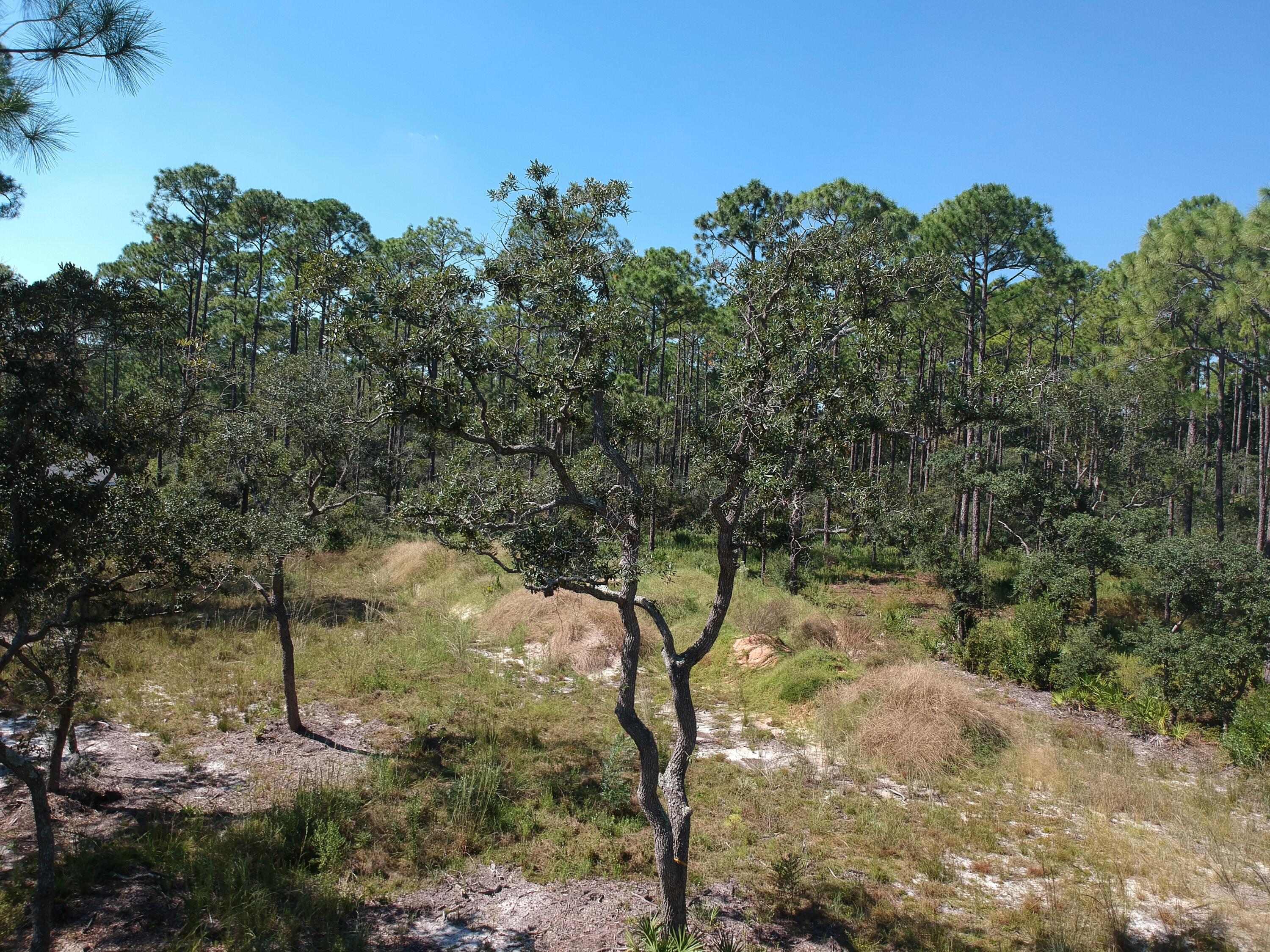 Excellent opportunity to build your dream in Freeport, Fl area. This lot has already been cleared and root raked plus 12 loads of fill dirt has been delivered to the lot. This a beautiful small subdivision with no HOA's.