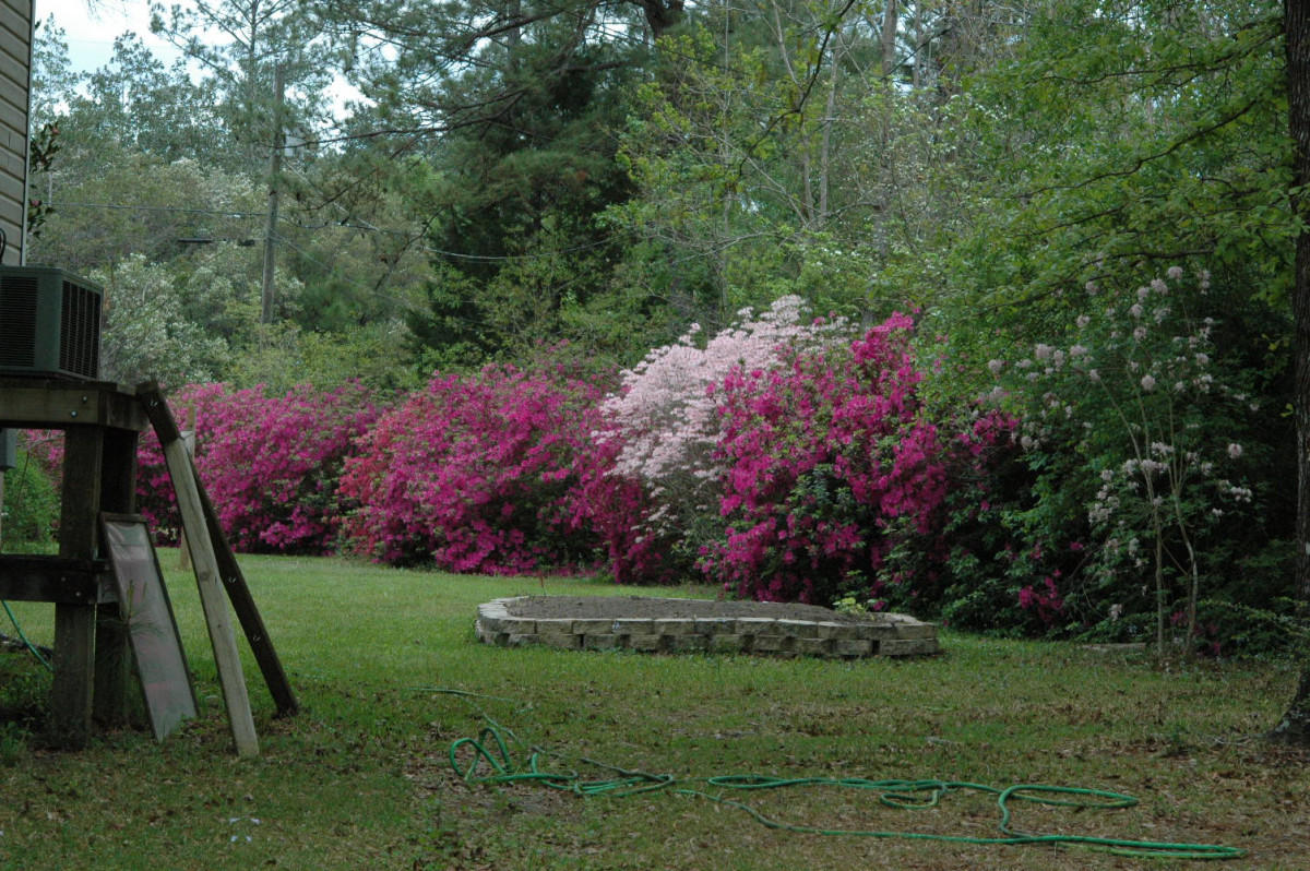 Woodlands/Clear Creek - Residential