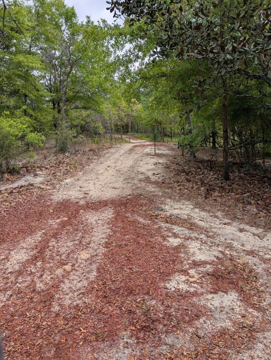 This property is partially cleared, there are 4 wheeler trails throughout the area to currently access. This is a great opportunity to be off grid. Camp & use as a private hunting retreat or hold for future investment. Some partial clearing has been done for camping or food plots. Property is high & dry but there is a creek nearby, making for prime hunting territory. No legal access to property.