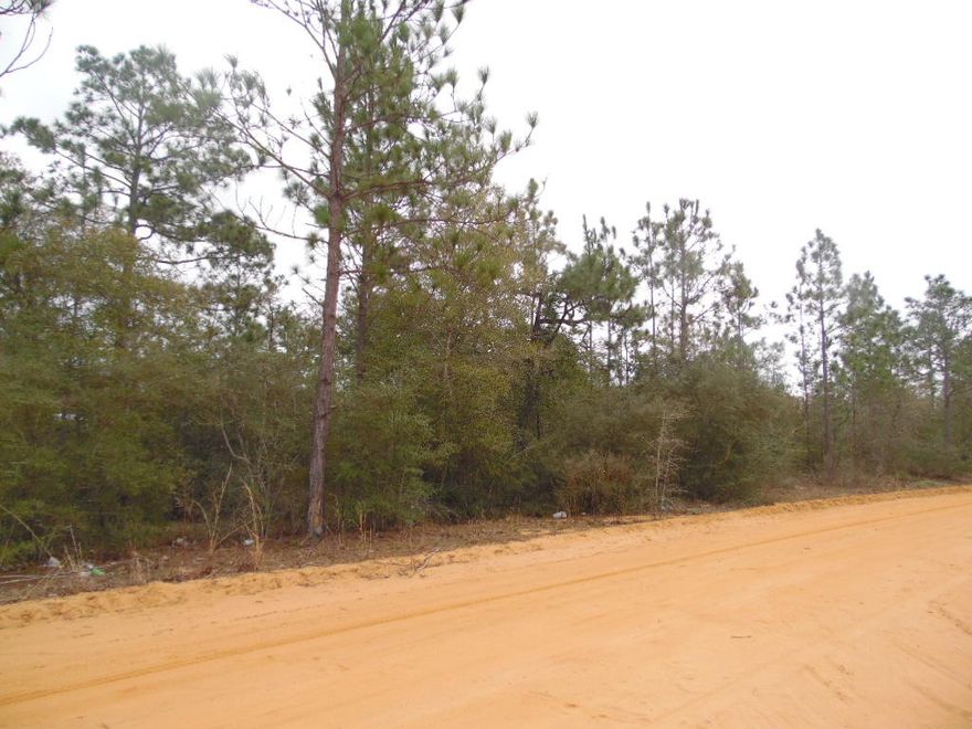 This would be a great lot for a home or RV. ALL wooded lot just out side the city limits. Very close to schools and shopping. Short drive to the Beach.