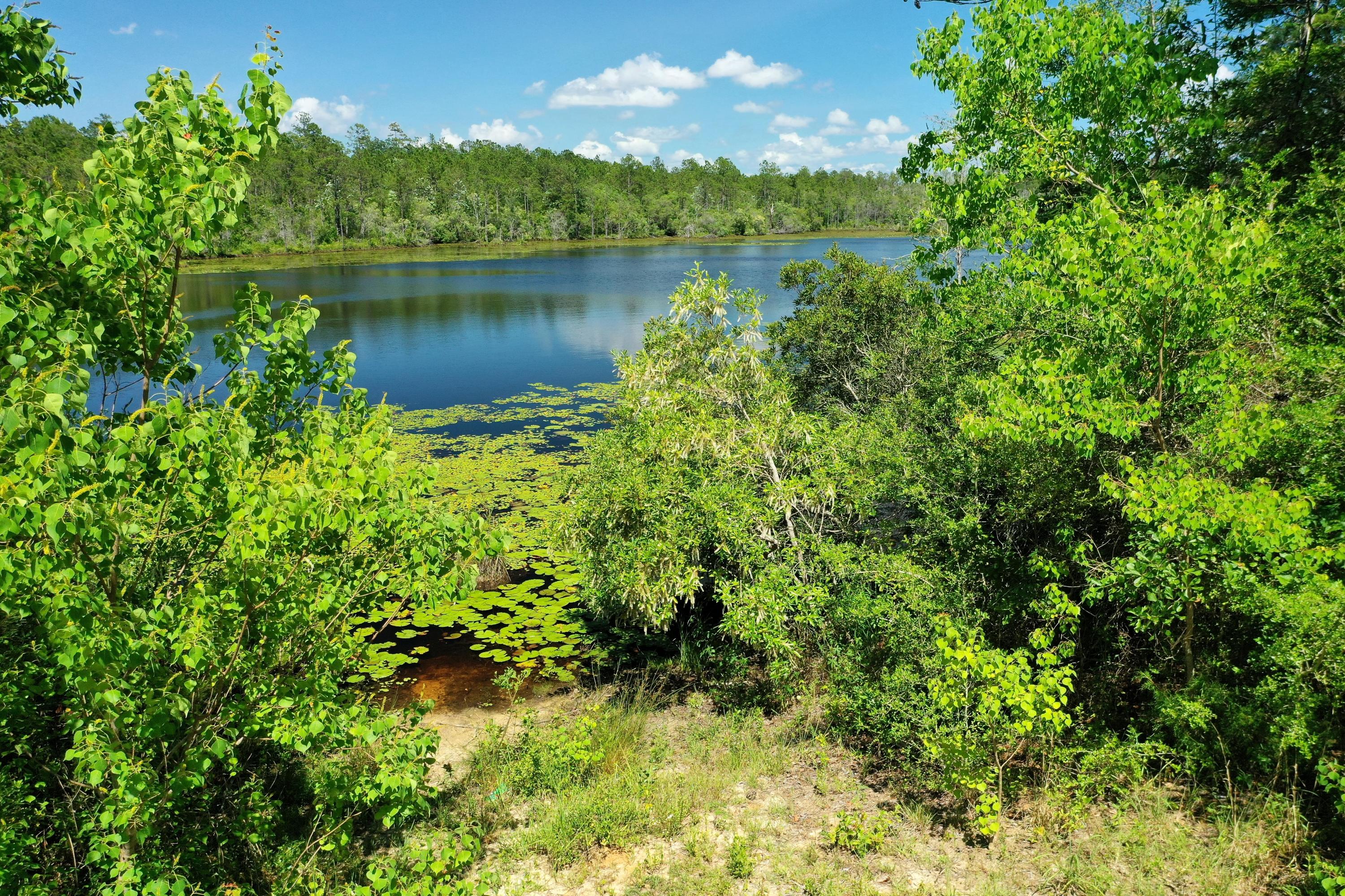 Metes & Bounds - Land