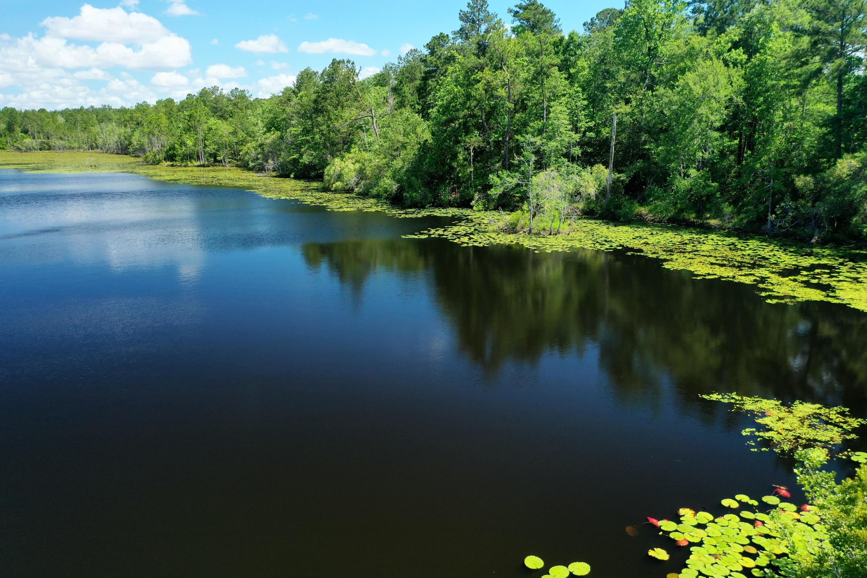 Spectacular assemblage of approximately 377 acres and three contiguous parcels featuring gorgeous topography and (3) spring-fed lakes, located in North Walton County, Florida, and in proximity to the quaint and charming park of the historic Defuniak Springs town square. Approximately 3,500' of the frontage boundary is surrounded by paved road that is maintained by Walton County; therefore, ingress and egress onto the property is exceptional. The adjacent approximate 450 acres is also actively listed pursuant to MLS 864101; albeit separately, should you be interested in an assemblage opportunity. Please inquire for further details. Access to the subject property is restricted, thus all showings must be scheduled and approved by the listing broker. Additionally, all showings shall be... accompanied by the listing agents. A boundary and topographical survey is uploaded to this listing.