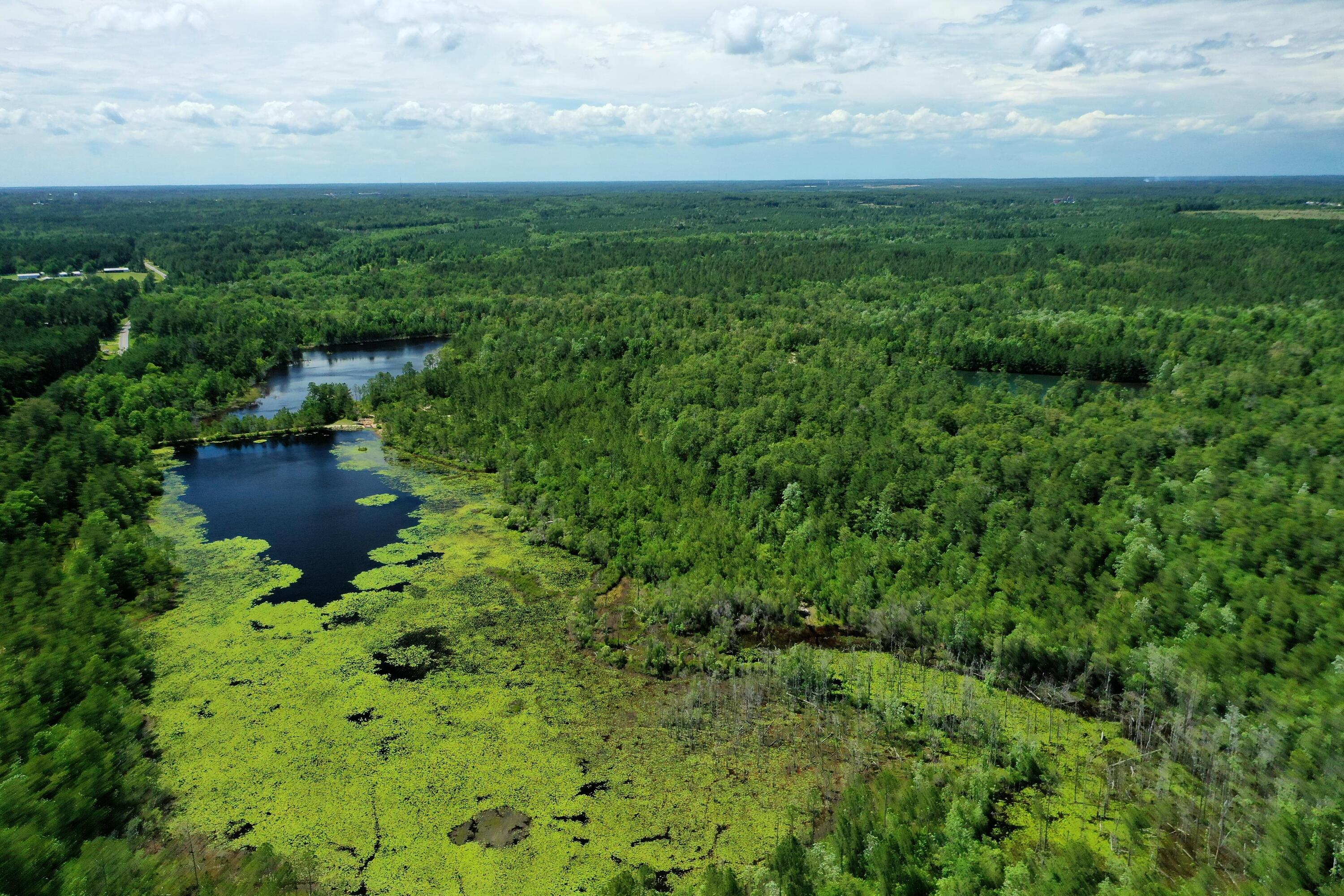 Metes & Bounds - Land