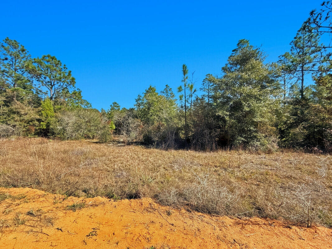 NO RECORDED SUBDIVISION - Farm