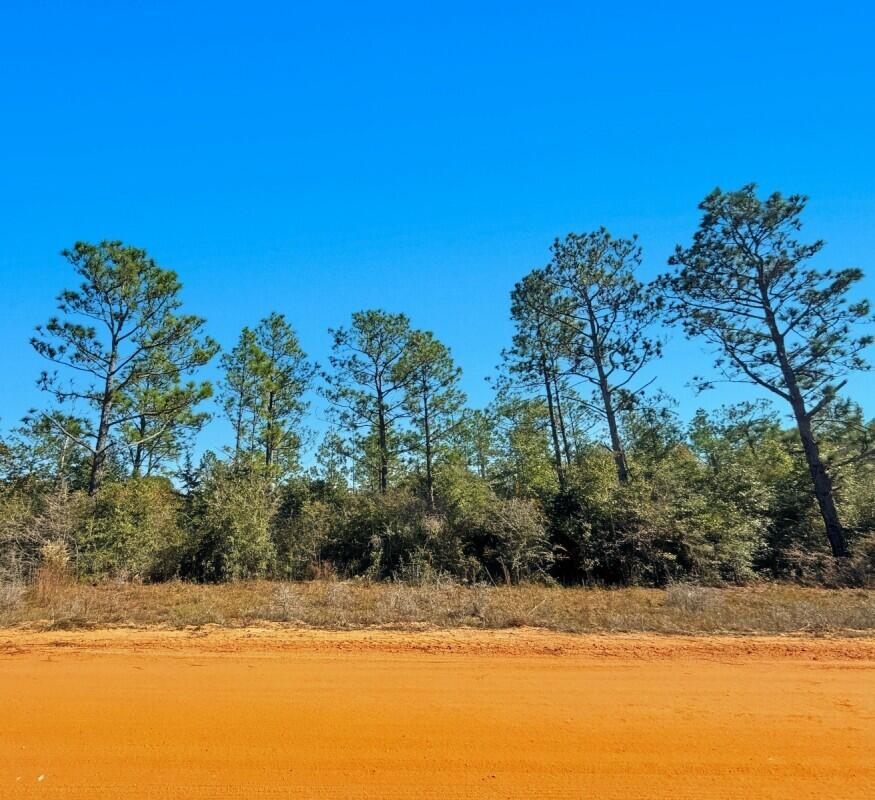 NO RECORDED SUBDIVISION - Farm