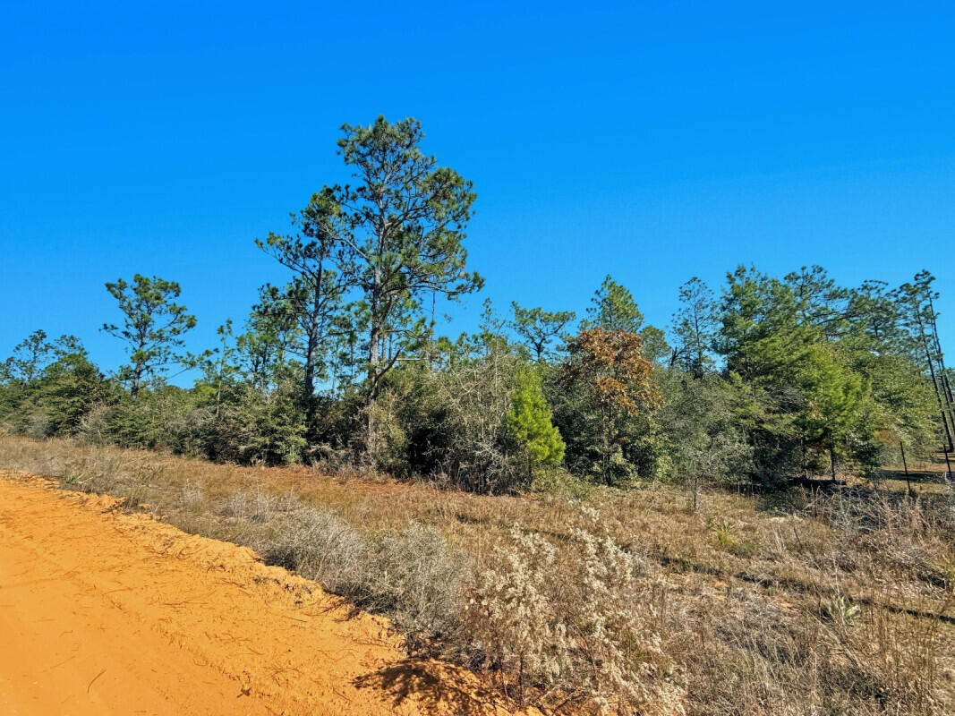 NO RECORDED SUBDIVISION - Farm