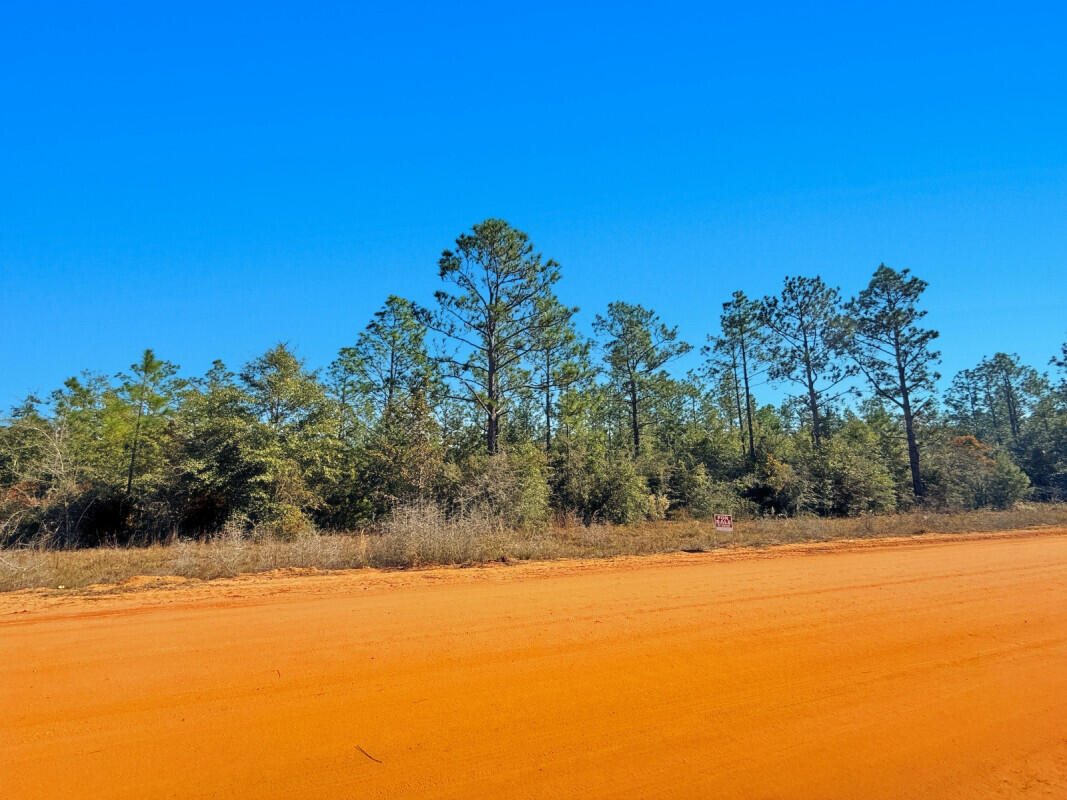 NO RECORDED SUBDIVISION - Farm