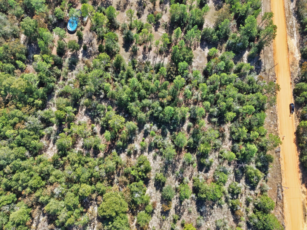 NO RECORDED SUBDIVISION - Farm