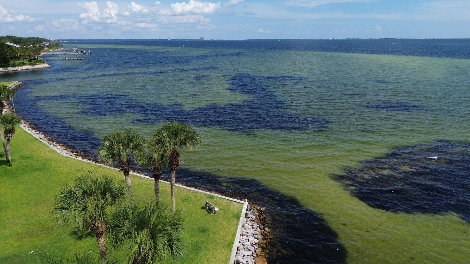 FINISTERRA CONDO - Residential