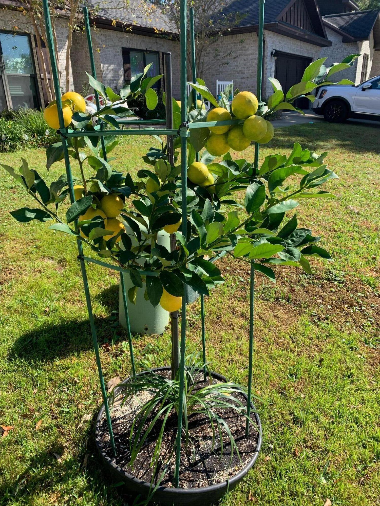 HEMINGWAY LOT 7 - Residential