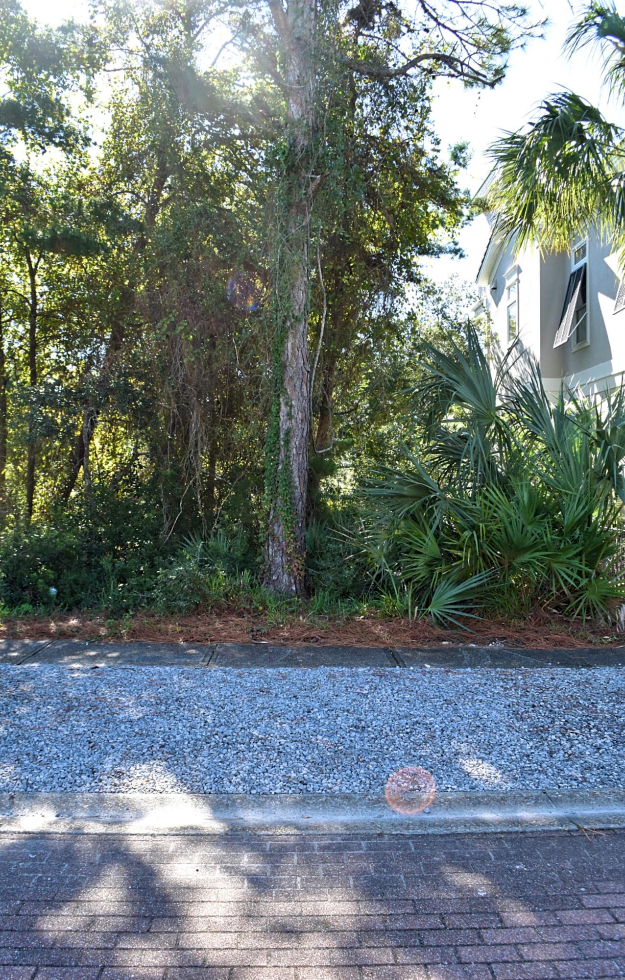 VILLAGE OF WHITE CLIFFS THE - Land