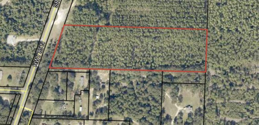 Owner Financing Available-Terms and Conditions ApplyDiscover the perfect blend of peace, privacy, and coastal convenience with this expansive 12-acre parcel of vacant land. Whether you're dreaming of building your custom home, starting a hobby farm, or investing in future development, this property offers endless possibilities.Key Features:12 acres of level, usable land - ideal for building, agriculture, or recreationLess than 1 hour from the beach - enjoy easy access to sun, surf, and sandNo HOA or restrictions - giving you the freedom to create your visionUtilities nearby - ready for future developmentThis is a rare opportunity to own a large piece of land with the best of both worlds: tranquility and proximity to the coast.