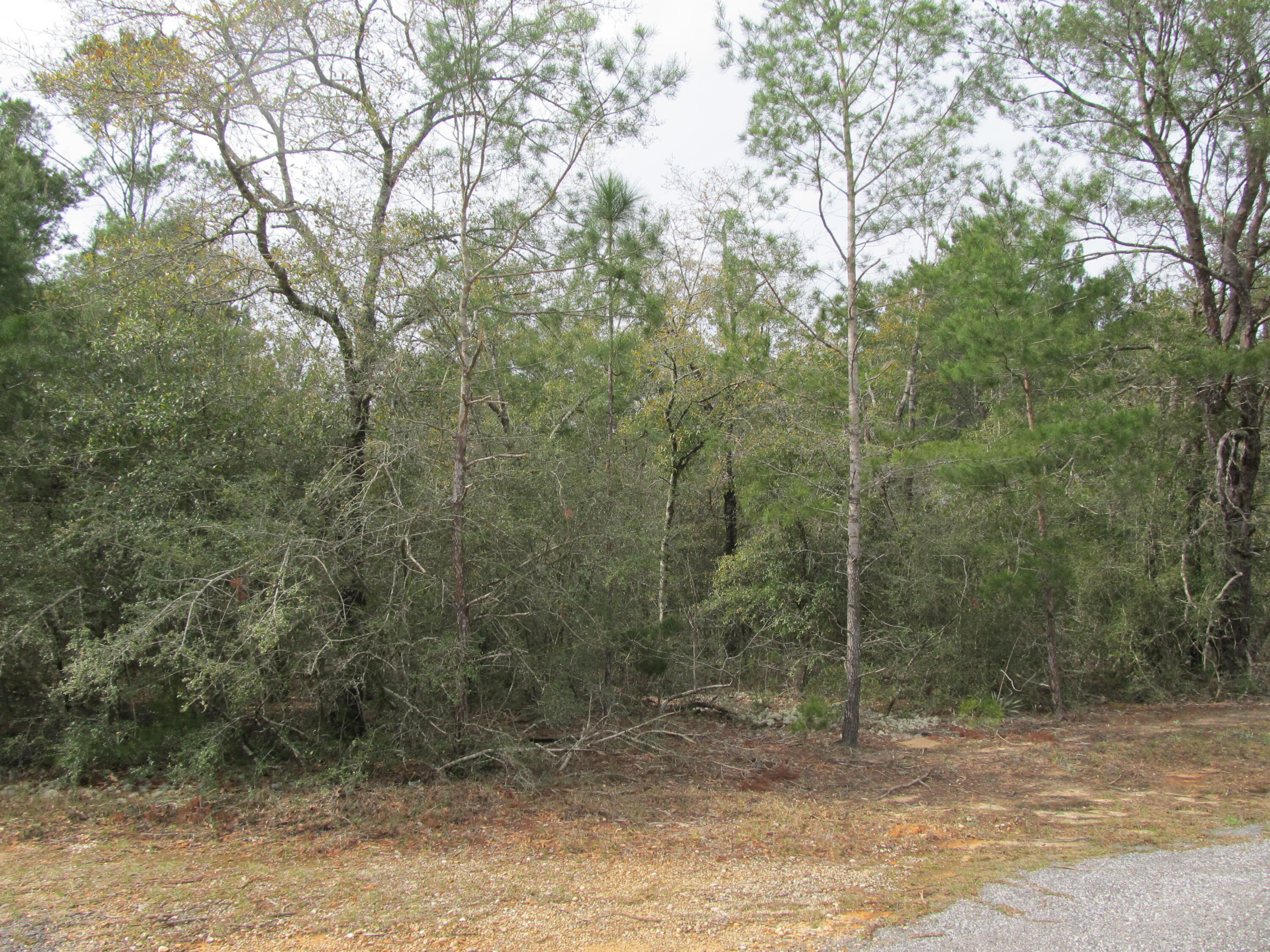 OAKWOOD HILLS UNIT 1 - Land