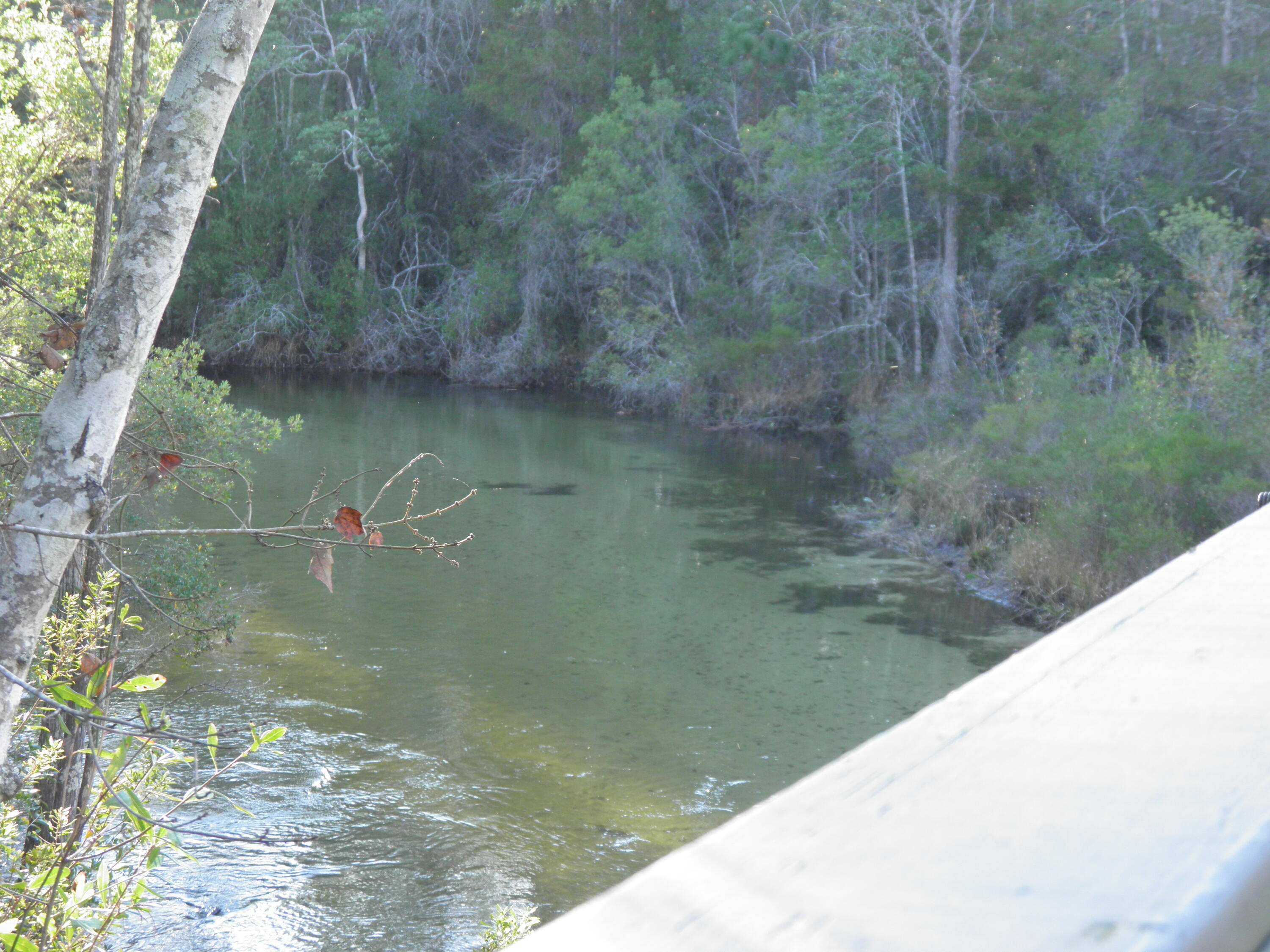 WALTON OAKS - Residential