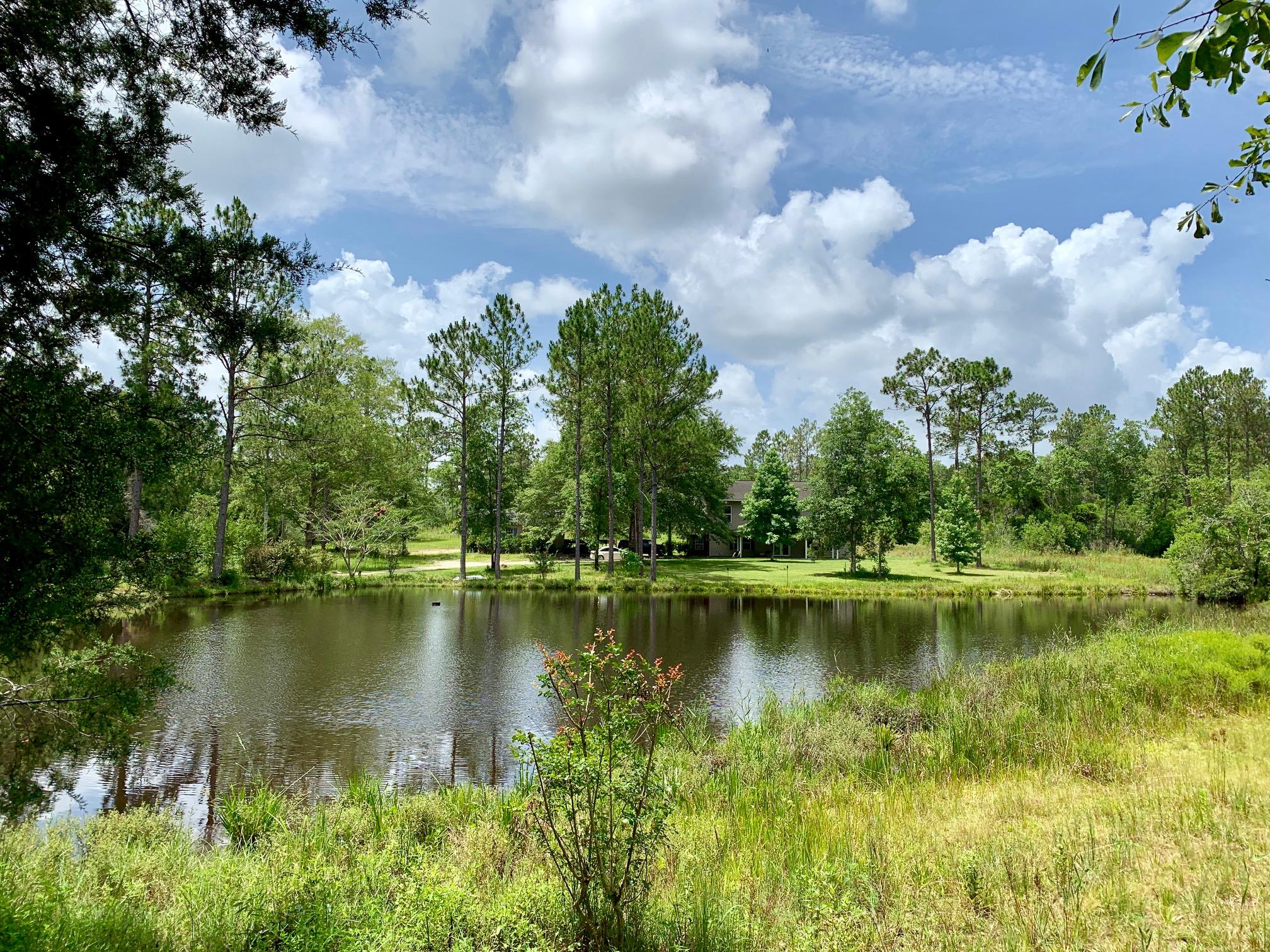 Meets and Bounds - Residential
