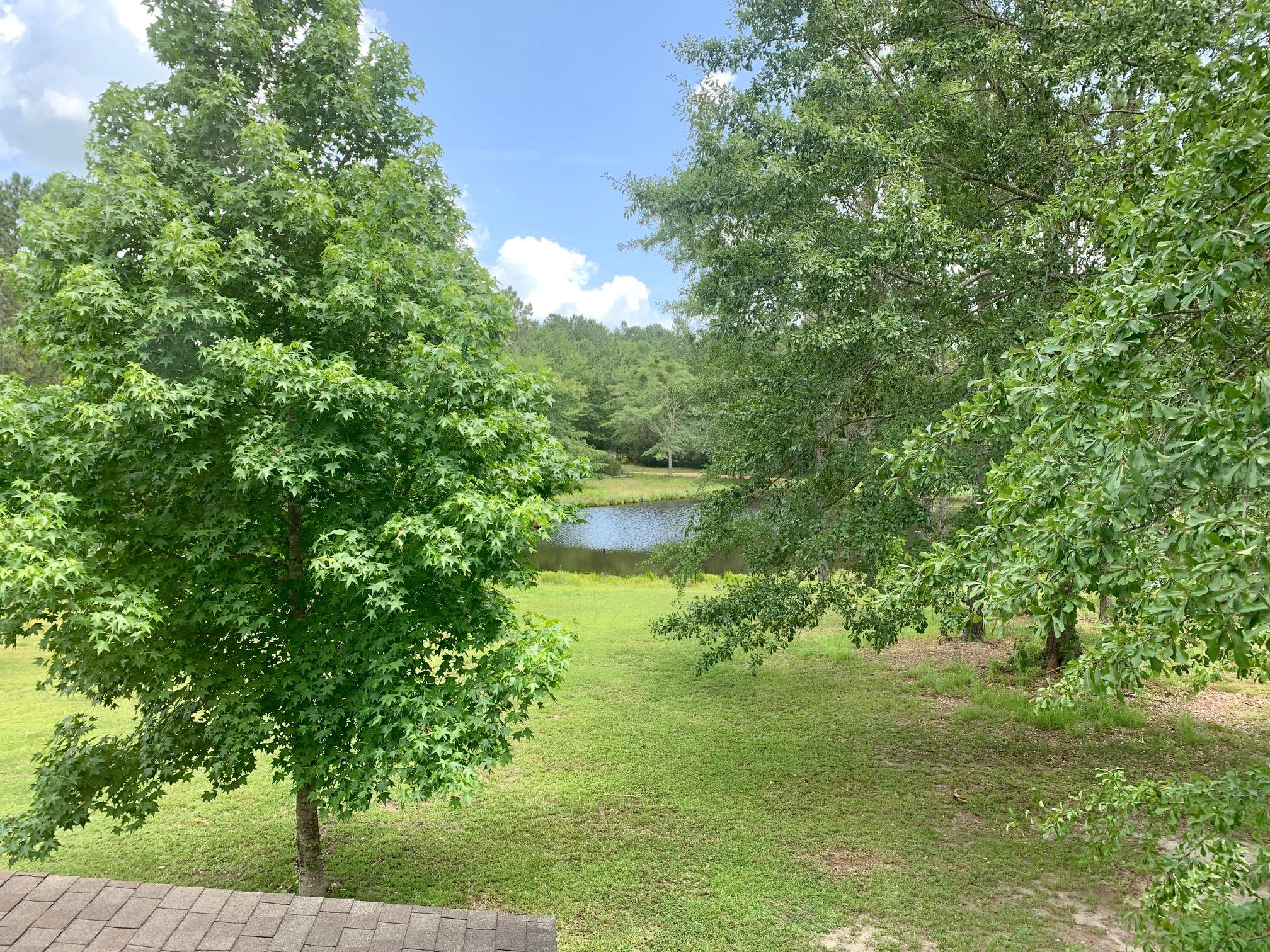 Meets and Bounds - Residential