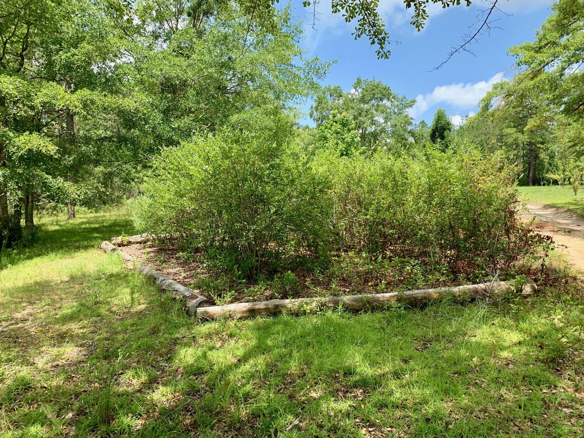 Meets and Bounds - Residential