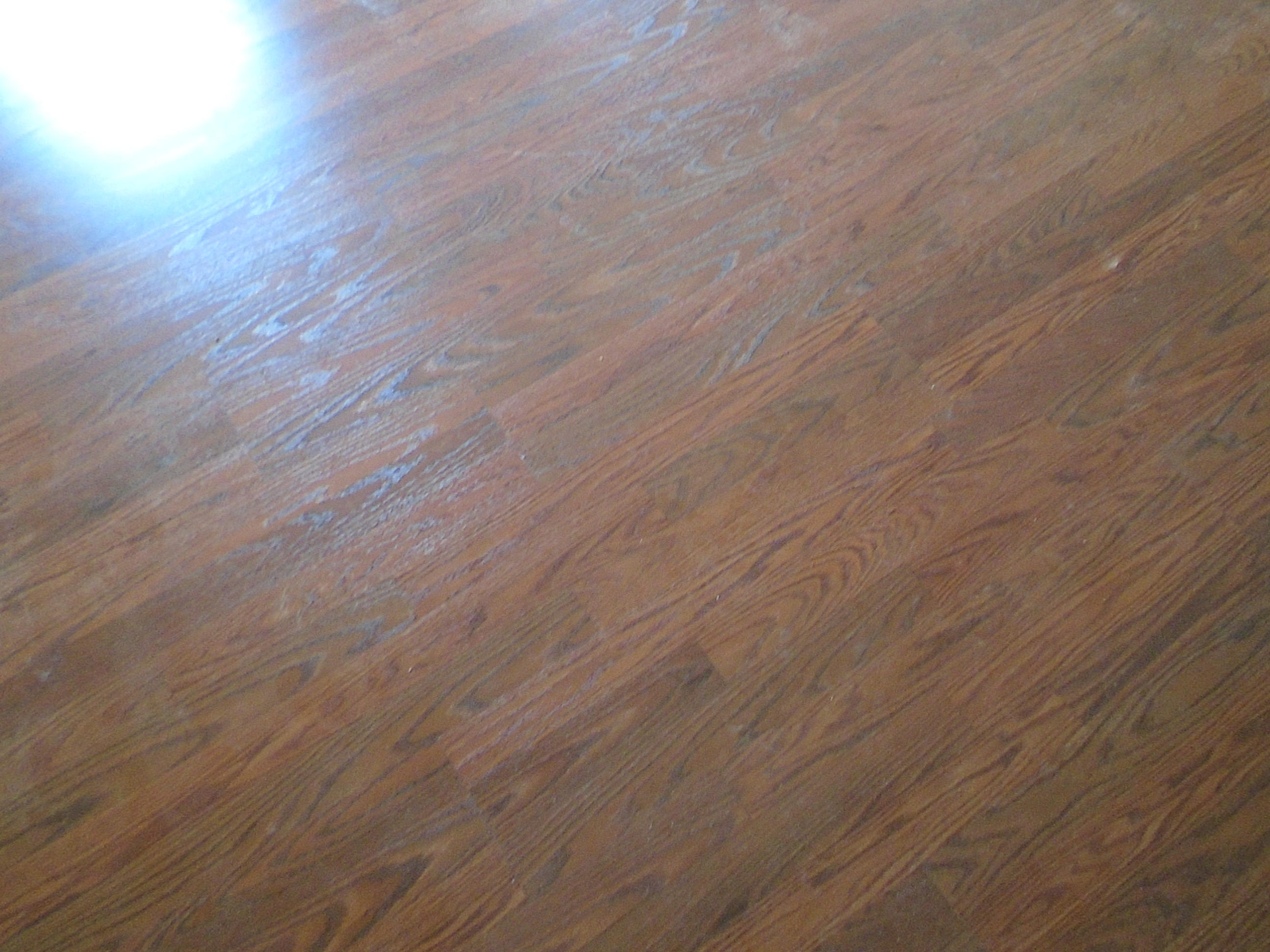 SPRING HILL ESTATES - Residential