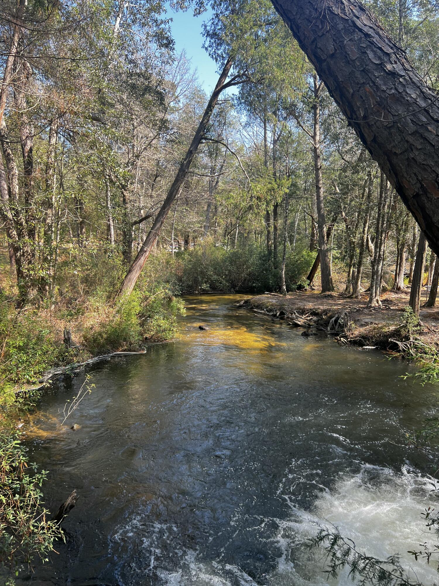DEER LAKE ESTATES - Land
