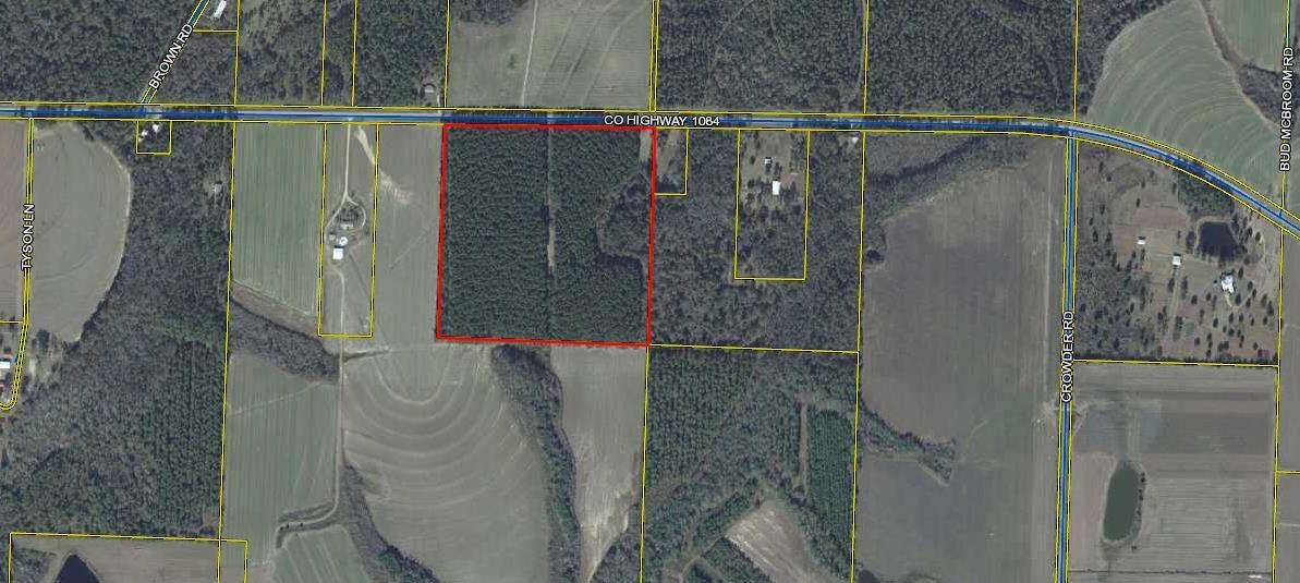 Great location away from it all. Timber thinned in 2019. Plenty of planted pines remaining. 1300' of paved highway frontage. Nice and level with no apparent wetlands. Buyer to verify all through own due diligence.